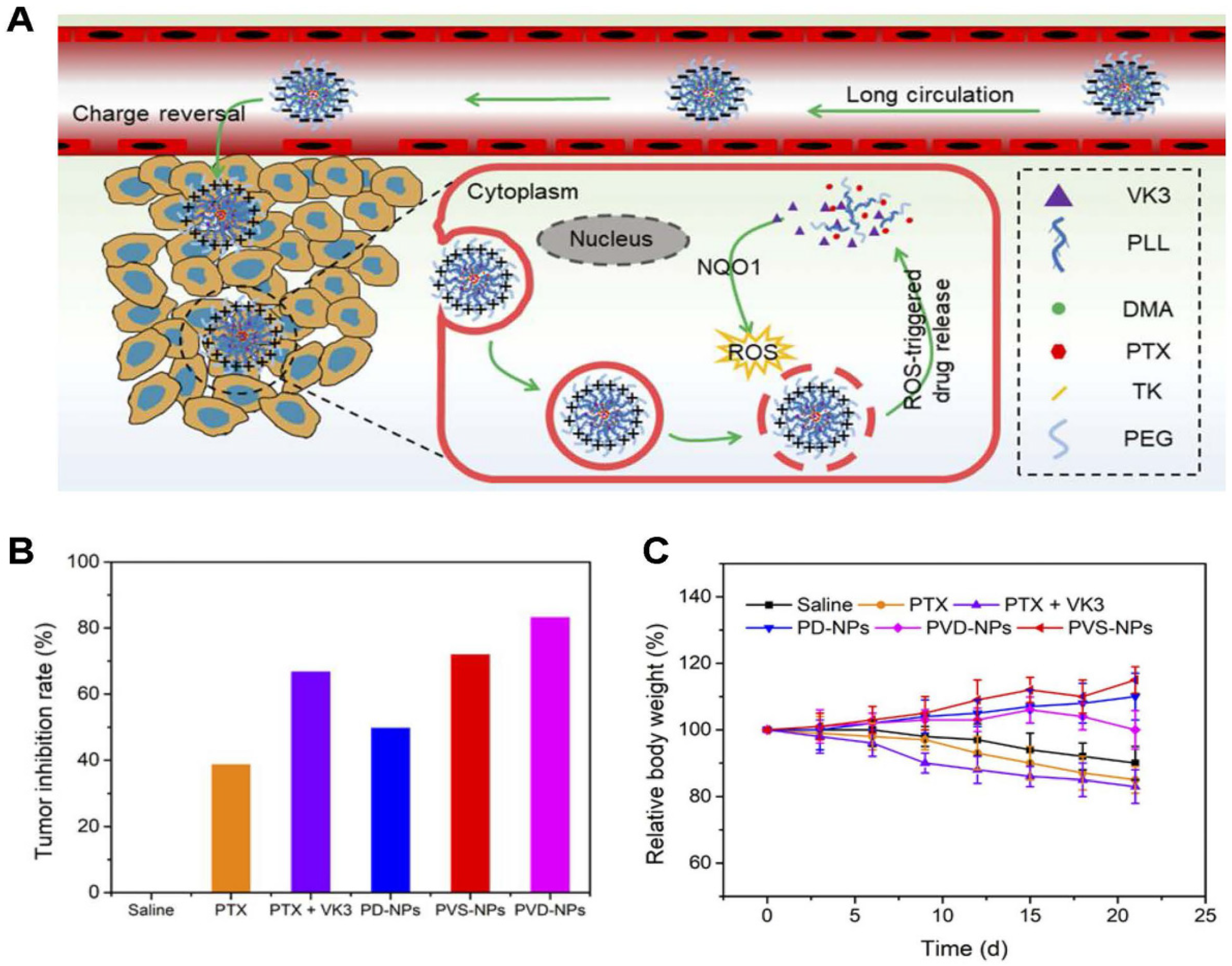 Polymers 17 01010 g010