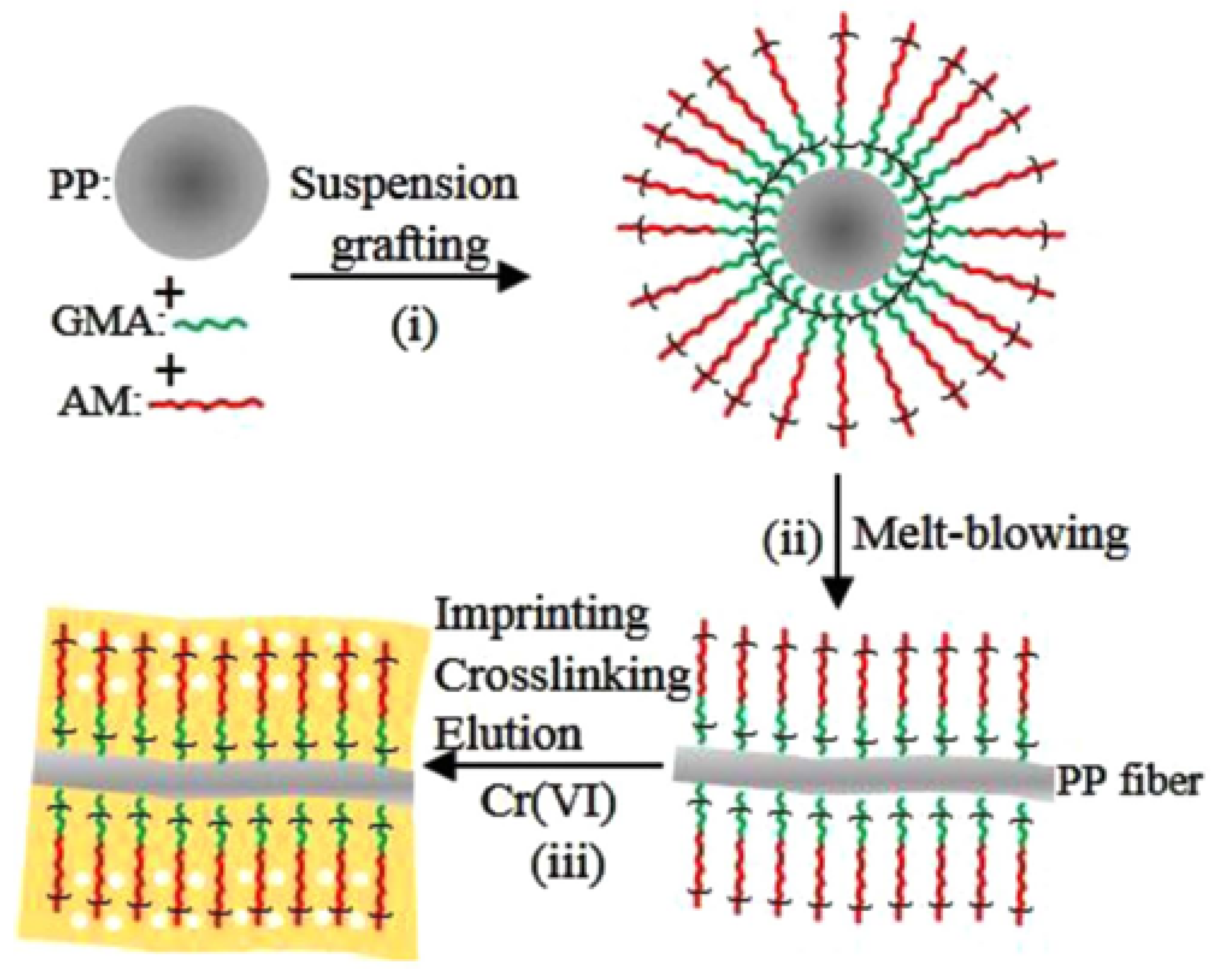 Polymers 17 01013 g006