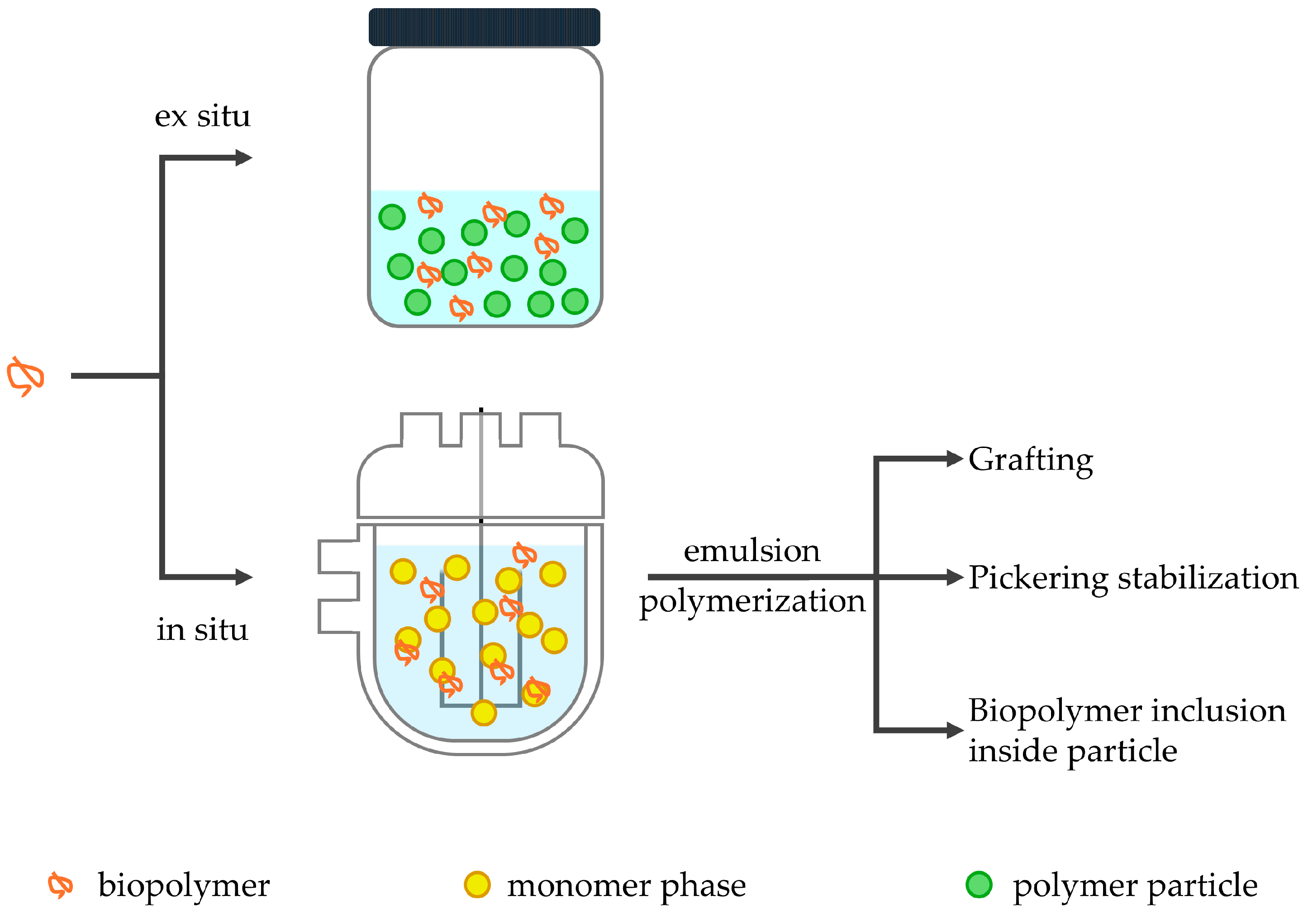 Polymers 17 01027 g005