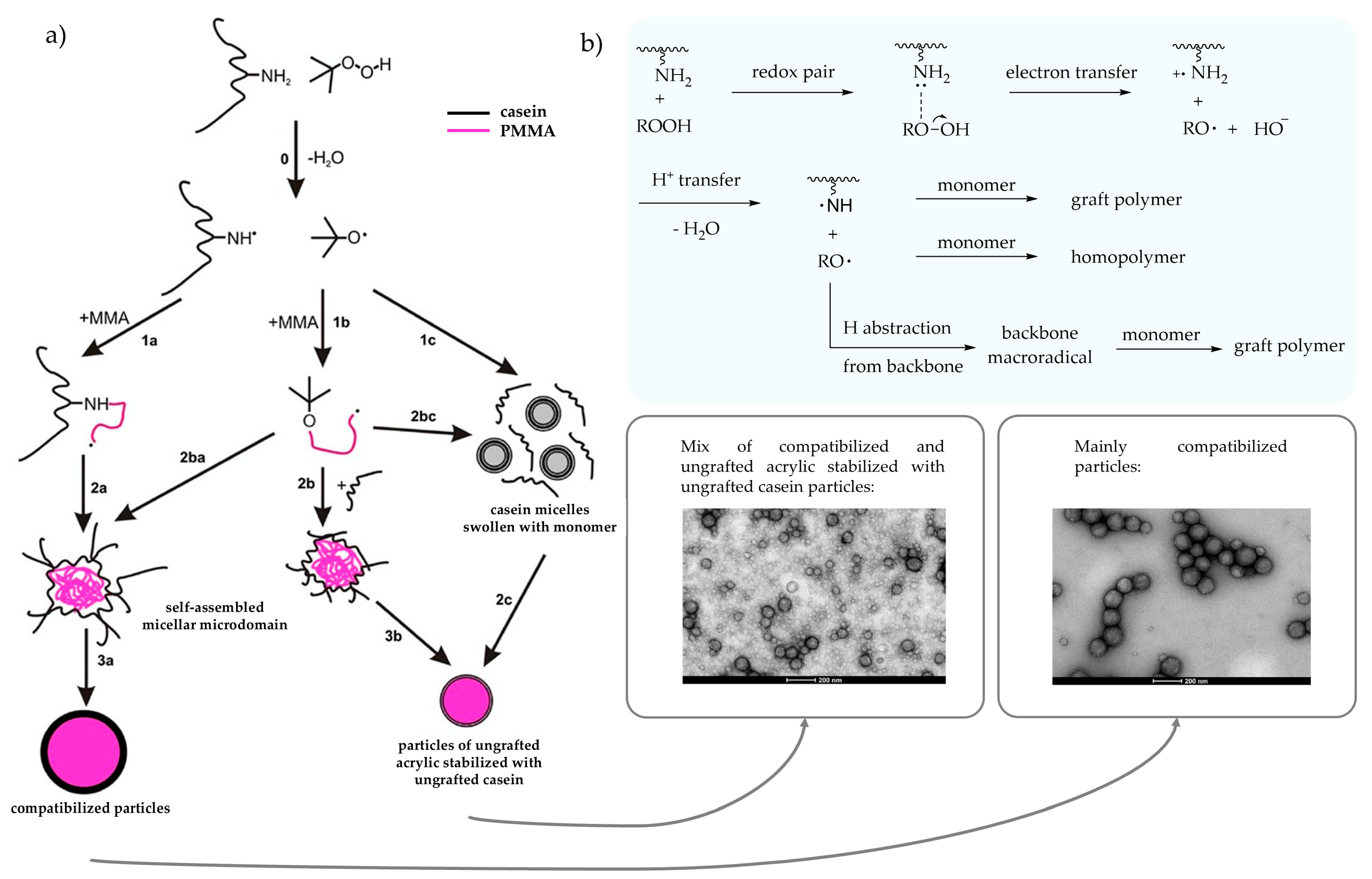 Polymers 17 01027 g007