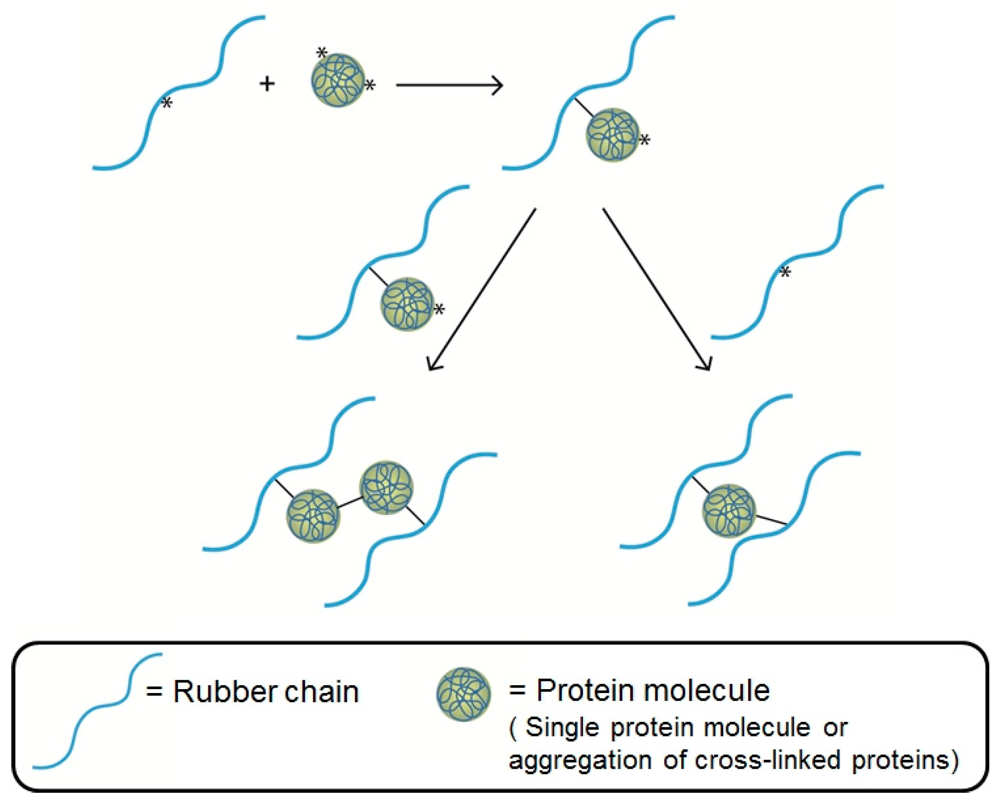 Polymers 17 01063 g004