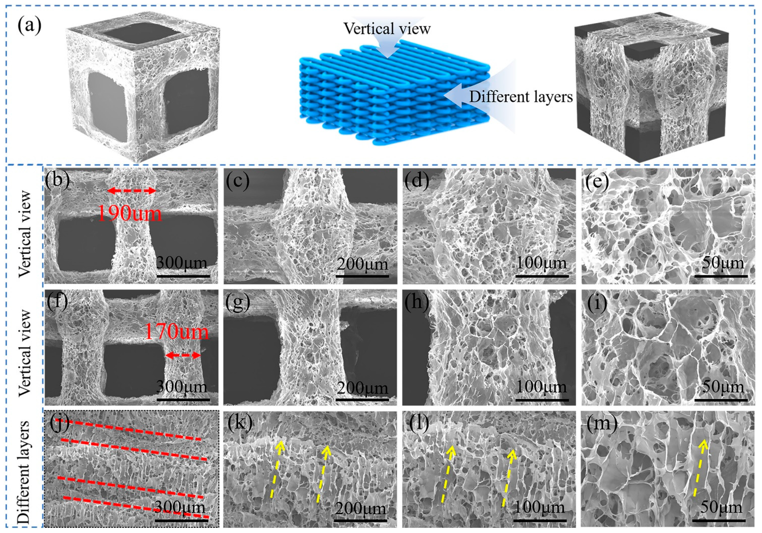 Polymers 17 01065 g008