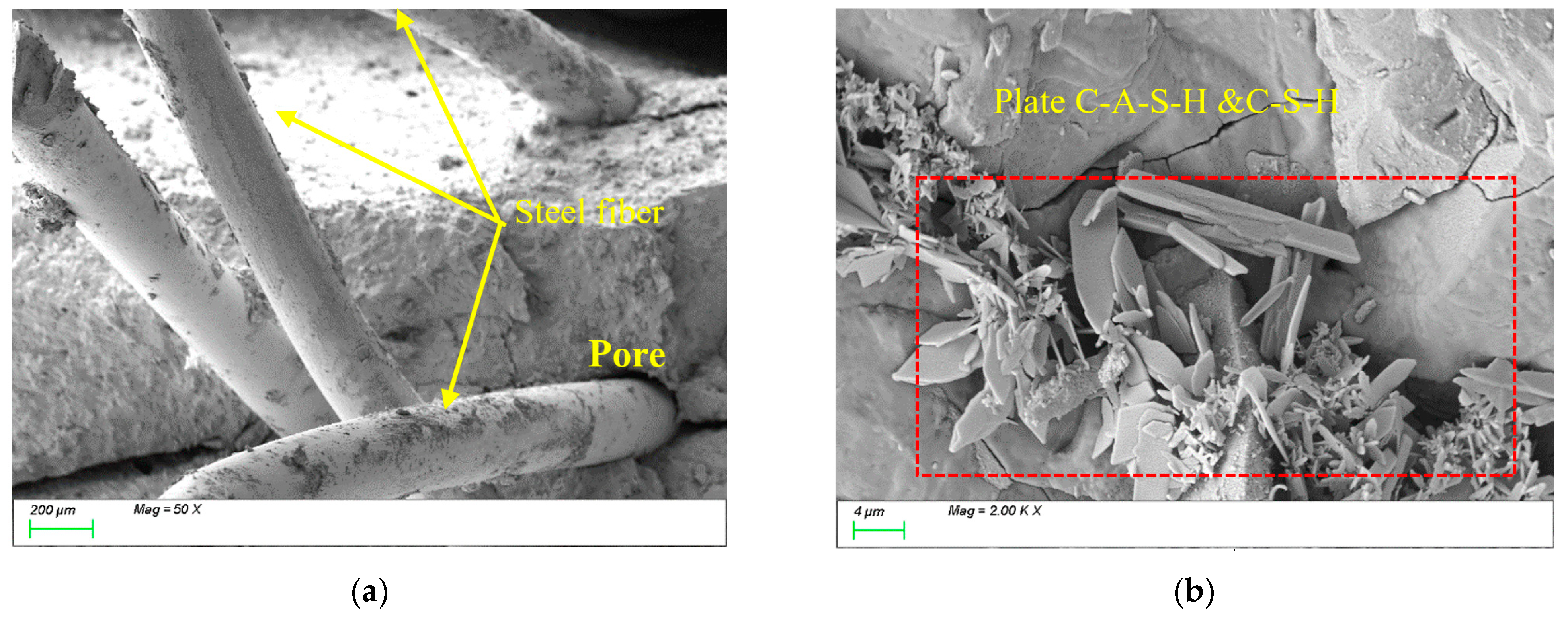 Polymers 17 01072 g013