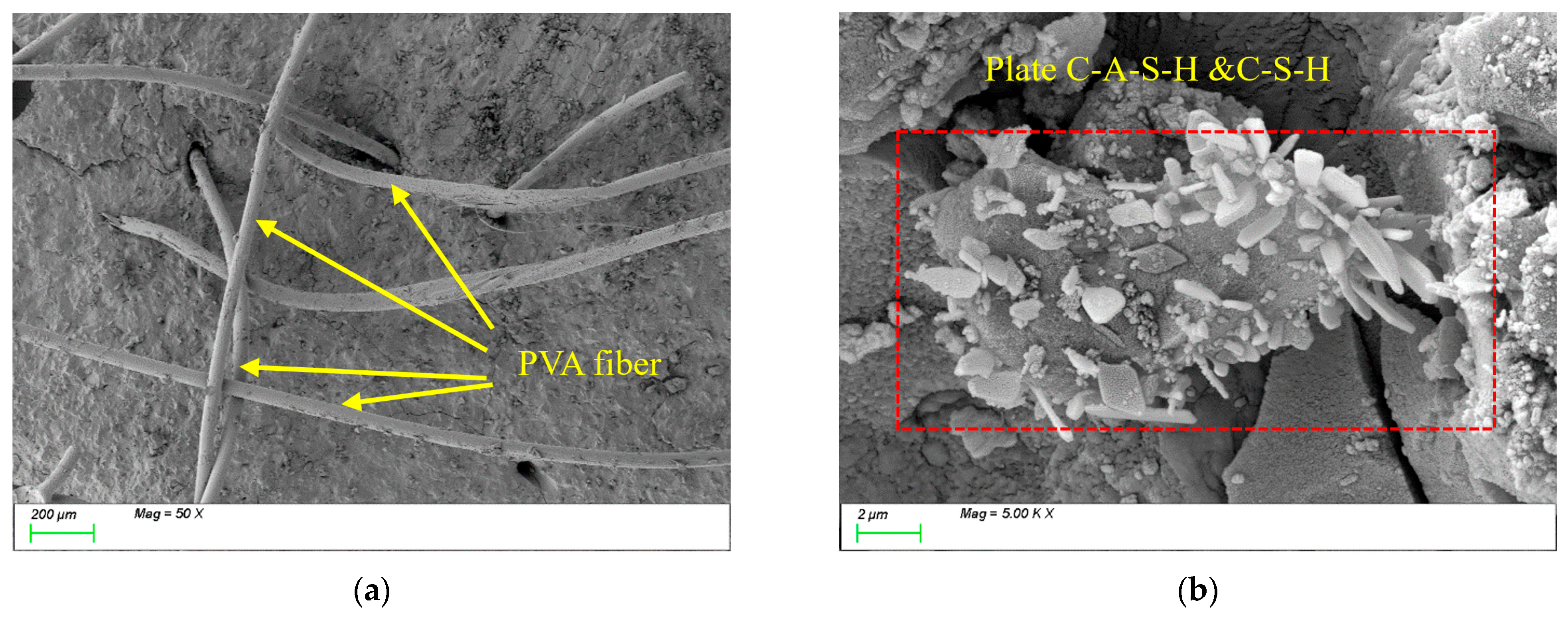 Polymers 17 01072 g014