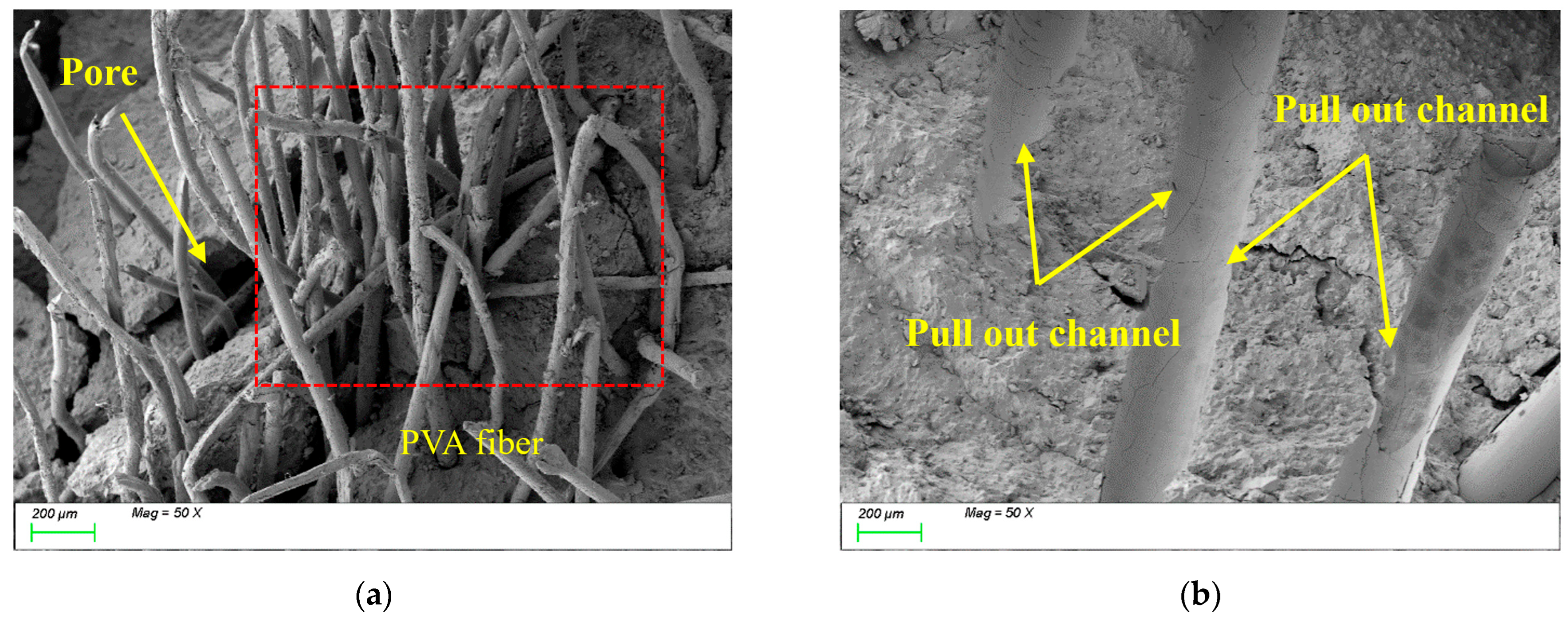 Polymers 17 01072 g015