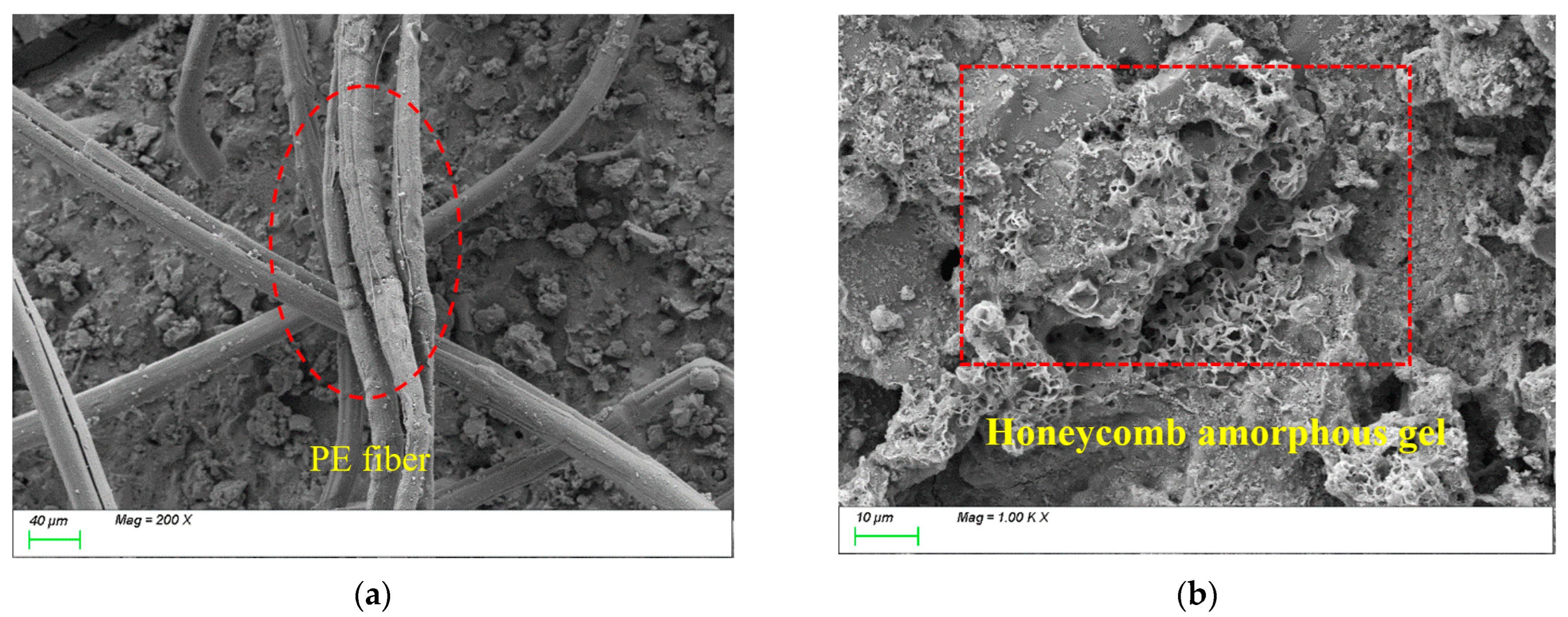Polymers 17 01072 g016