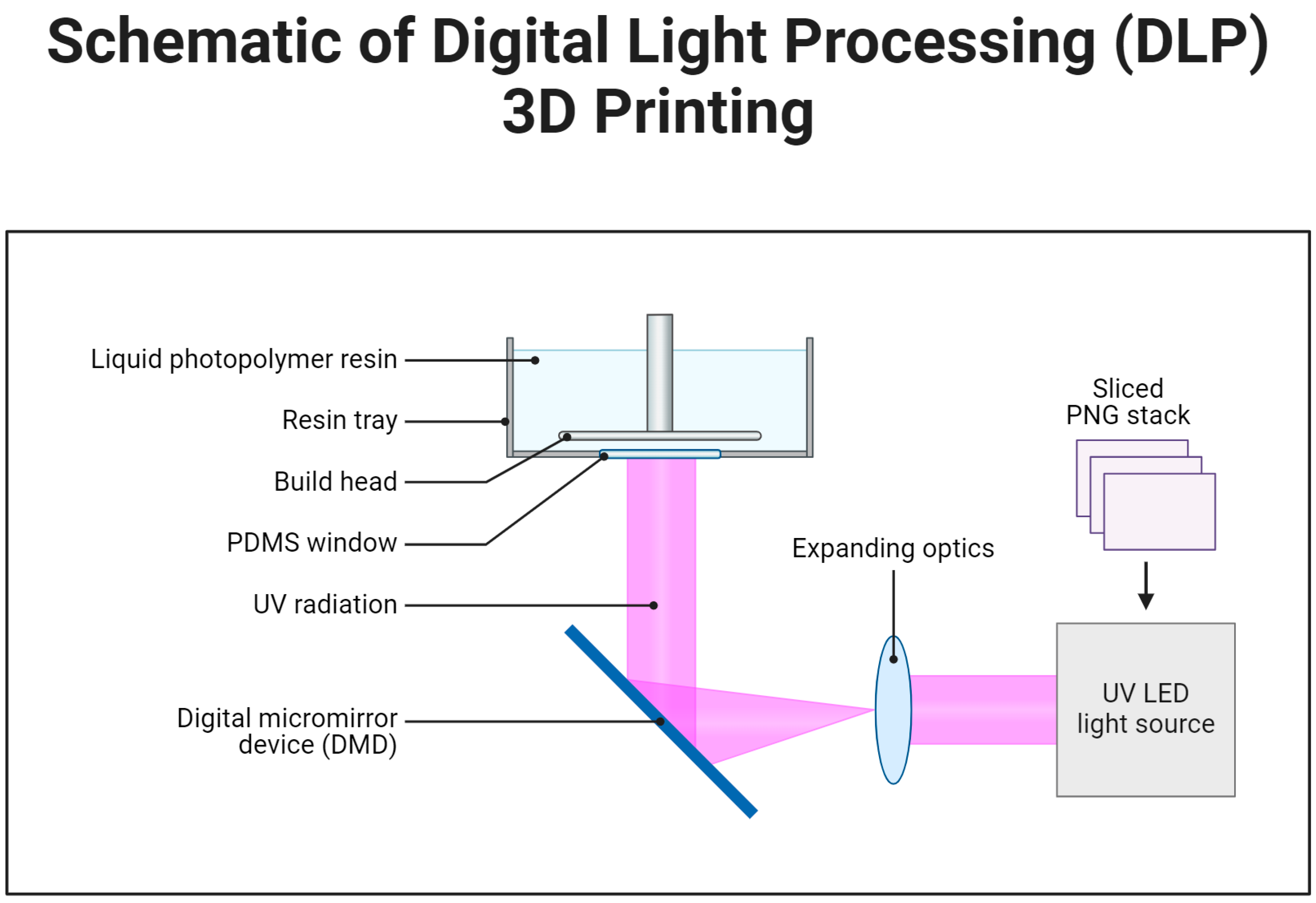 Polymers 17 01090 g002