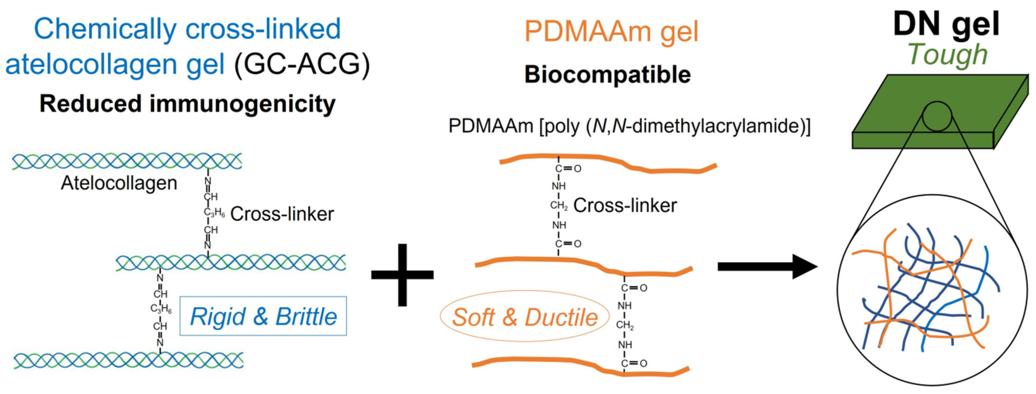 Polymers 17 01093 g004