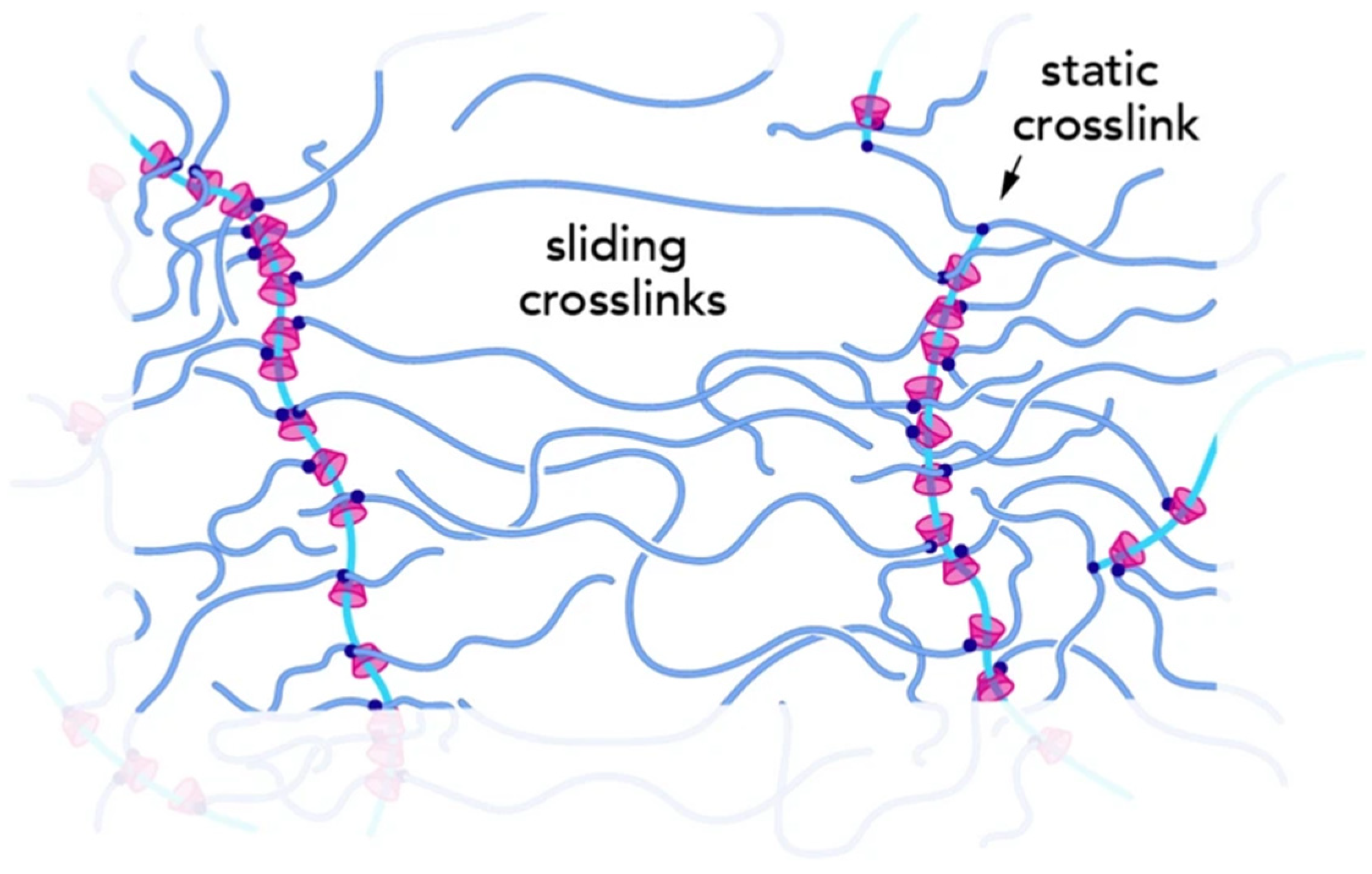 Polymers 17 01093 g005