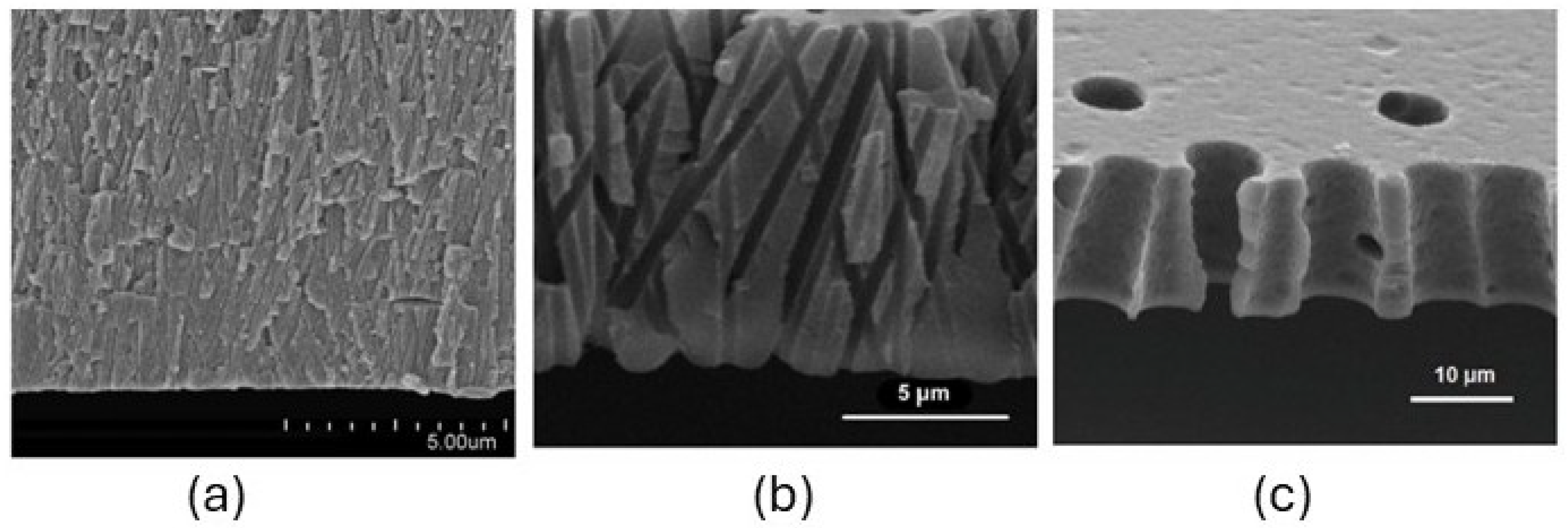 Polymers 17 01110 g004