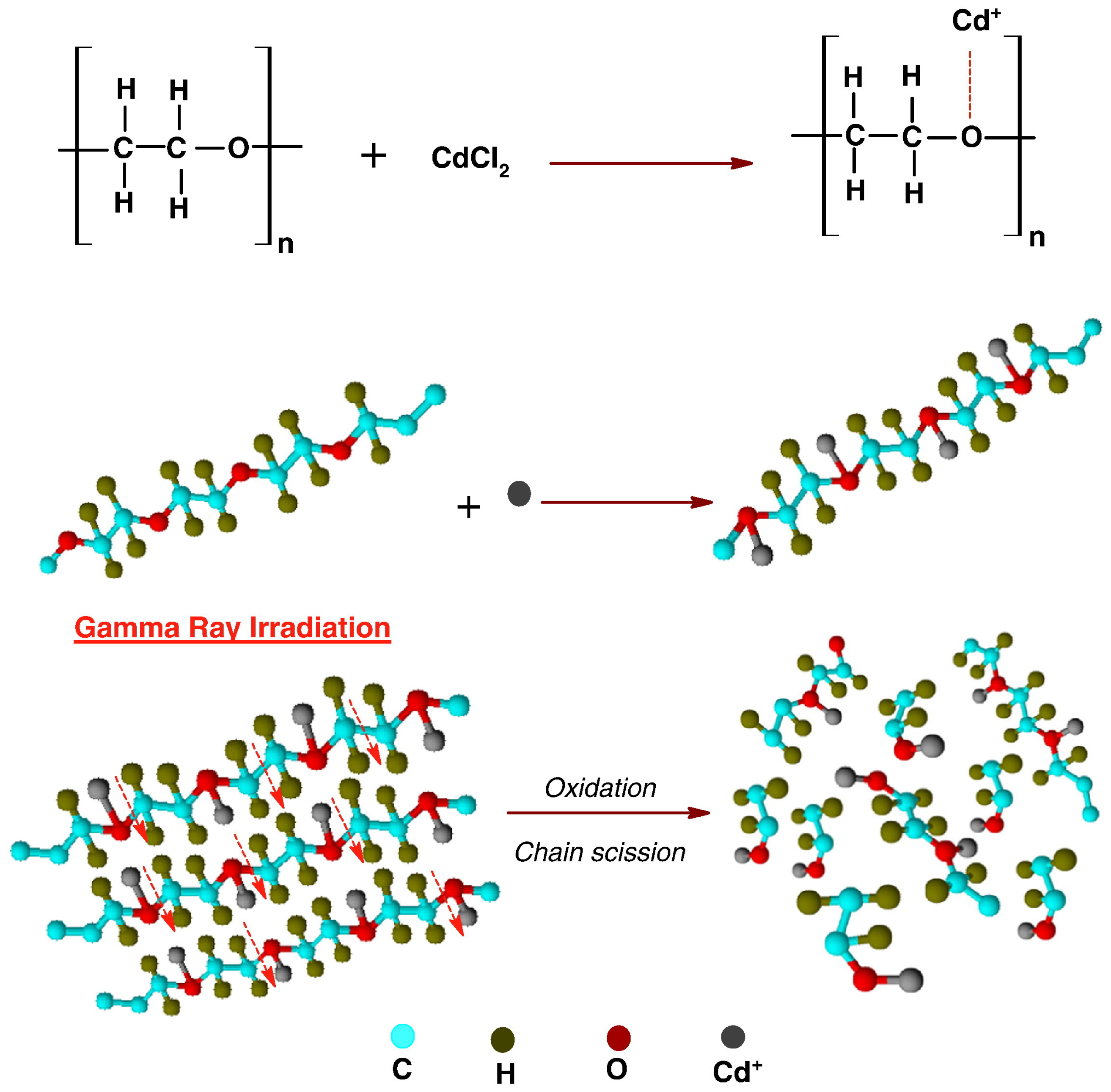 Polymers 17 01110 g007