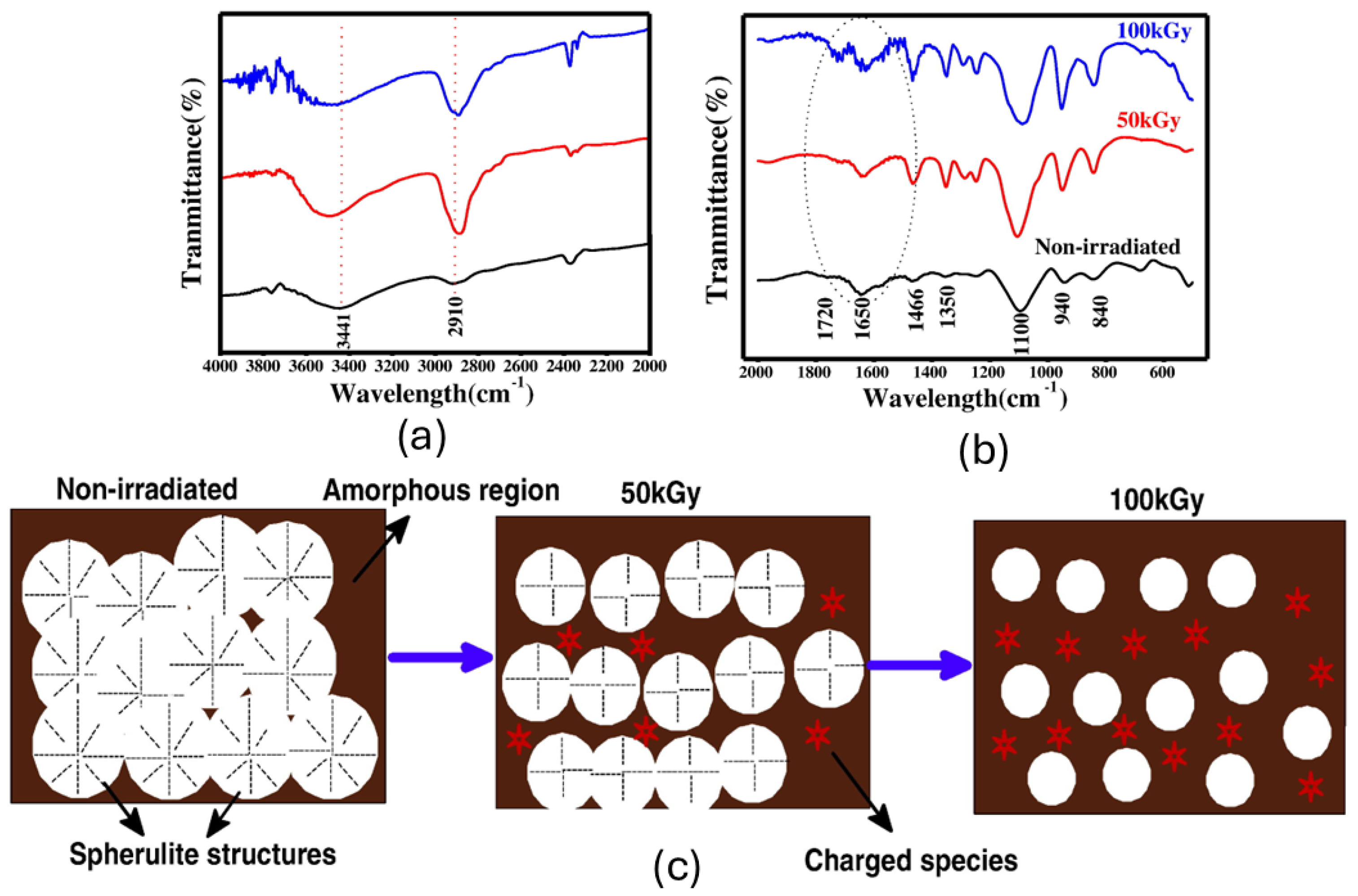 Polymers 17 01110 g017