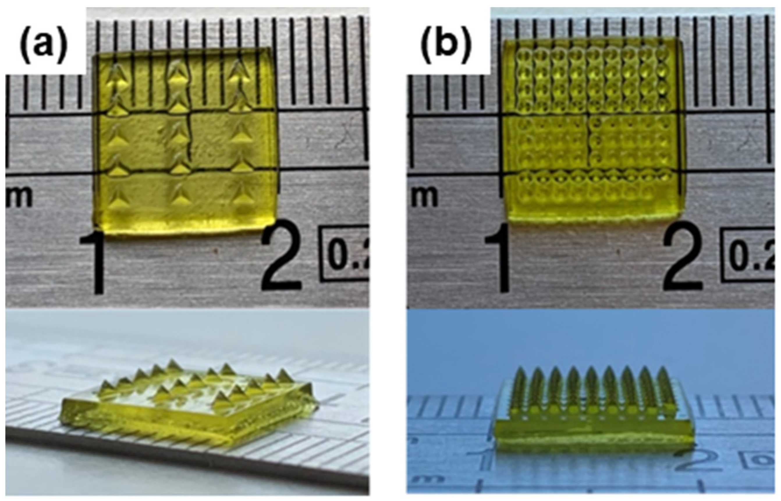 Polymers 17 01114 g006