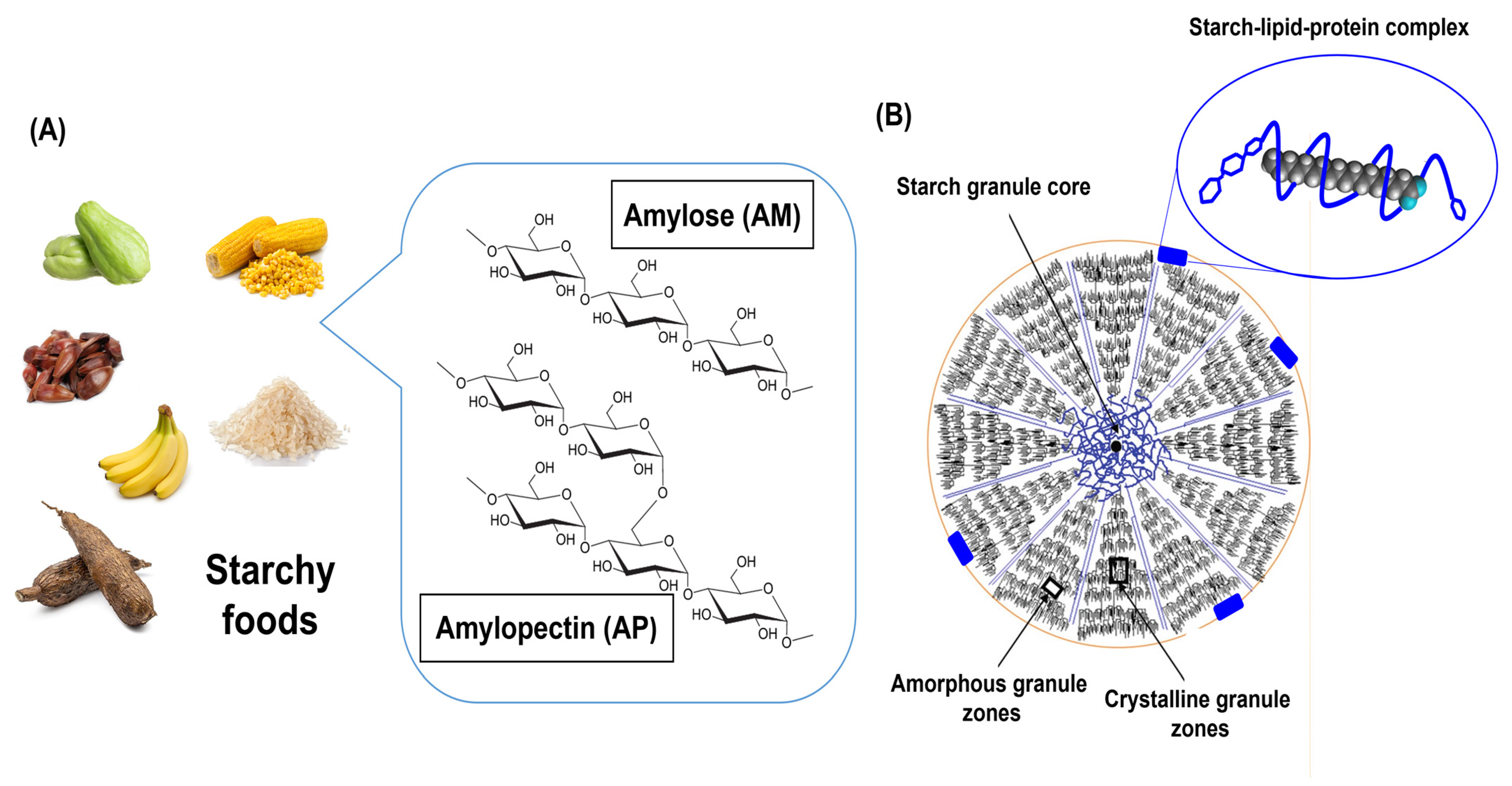 Polymers 17 01117 g001
