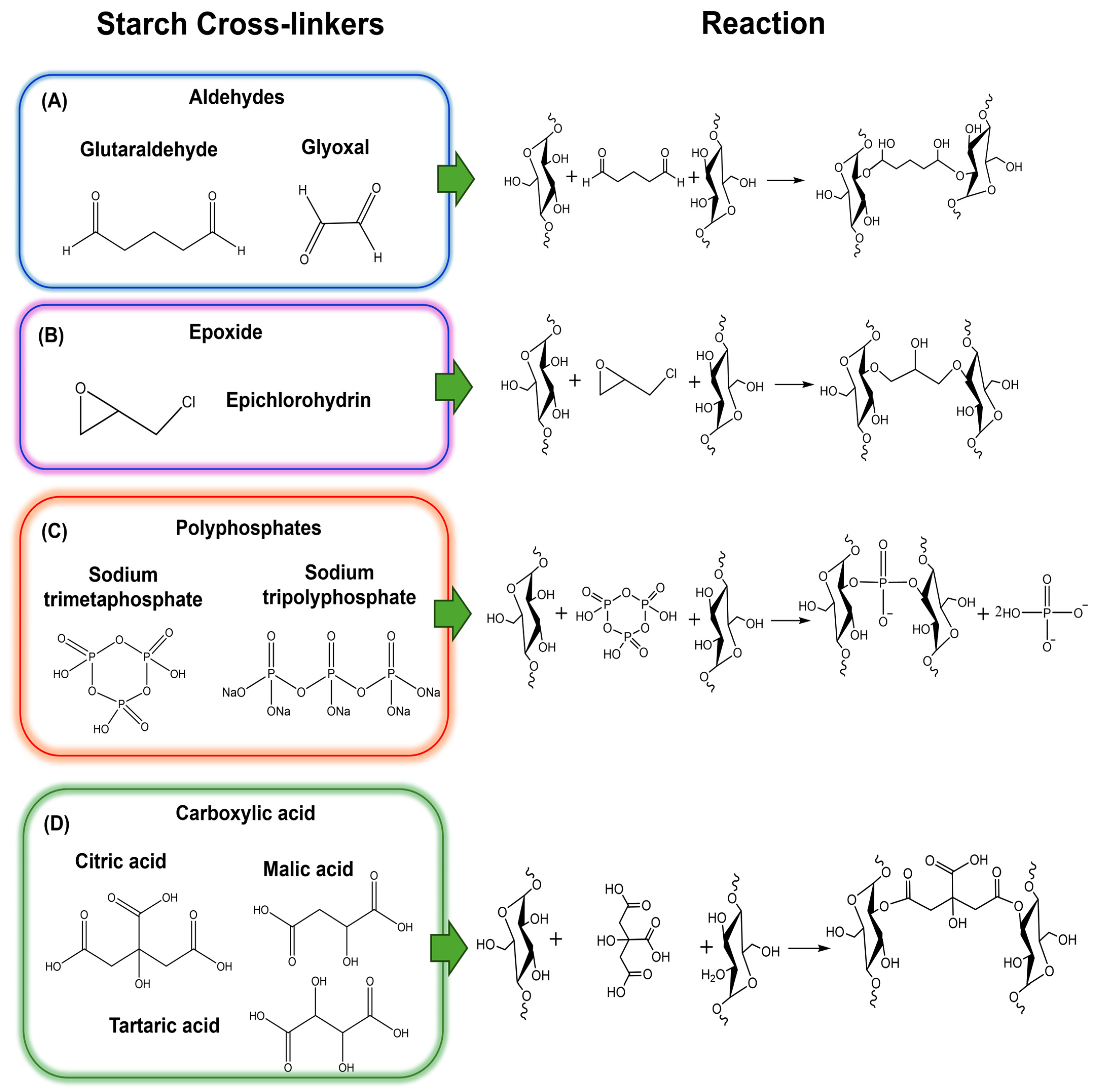 Polymers 17 01117 g004