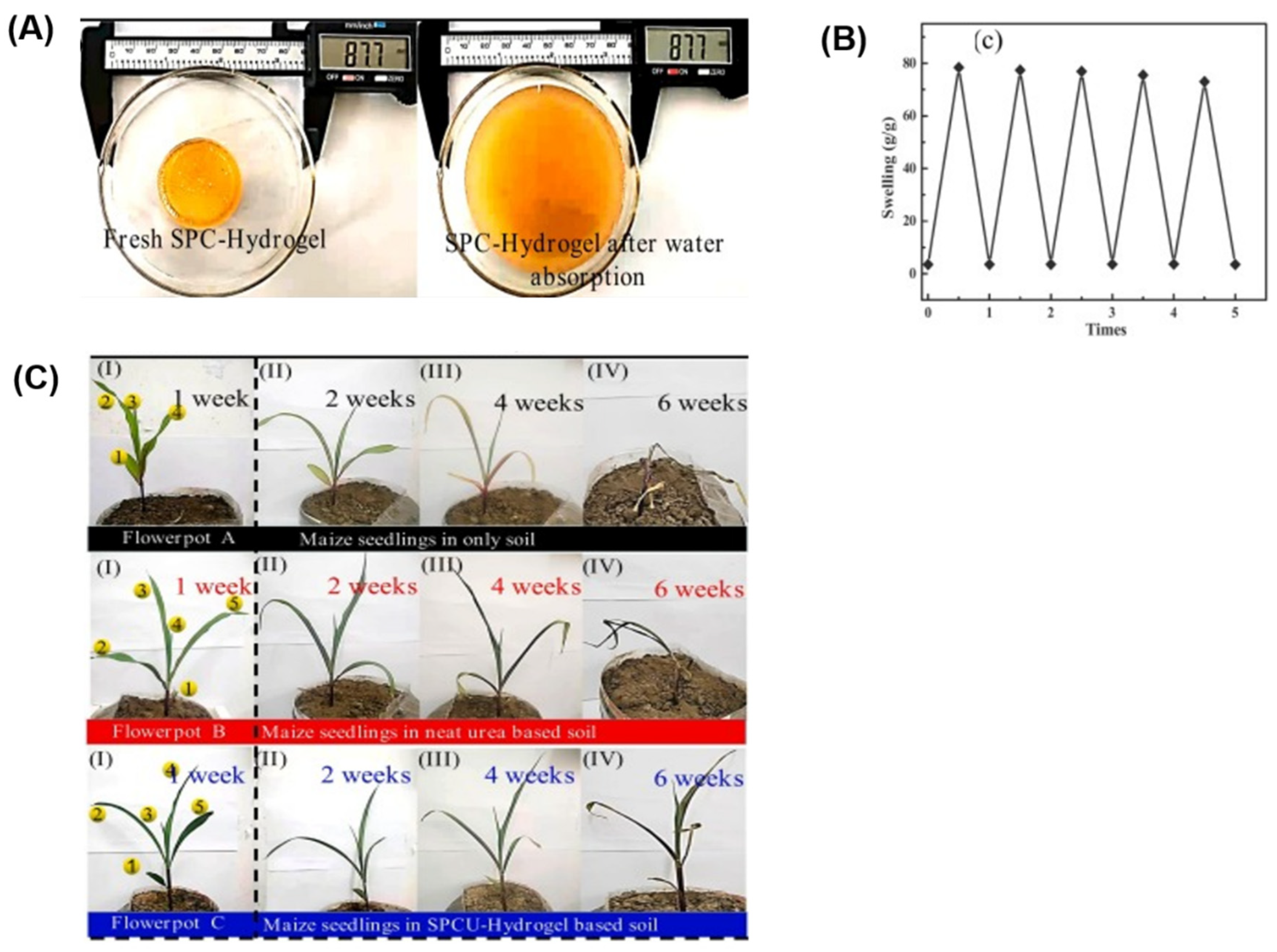 Polymers 17 01117 g008