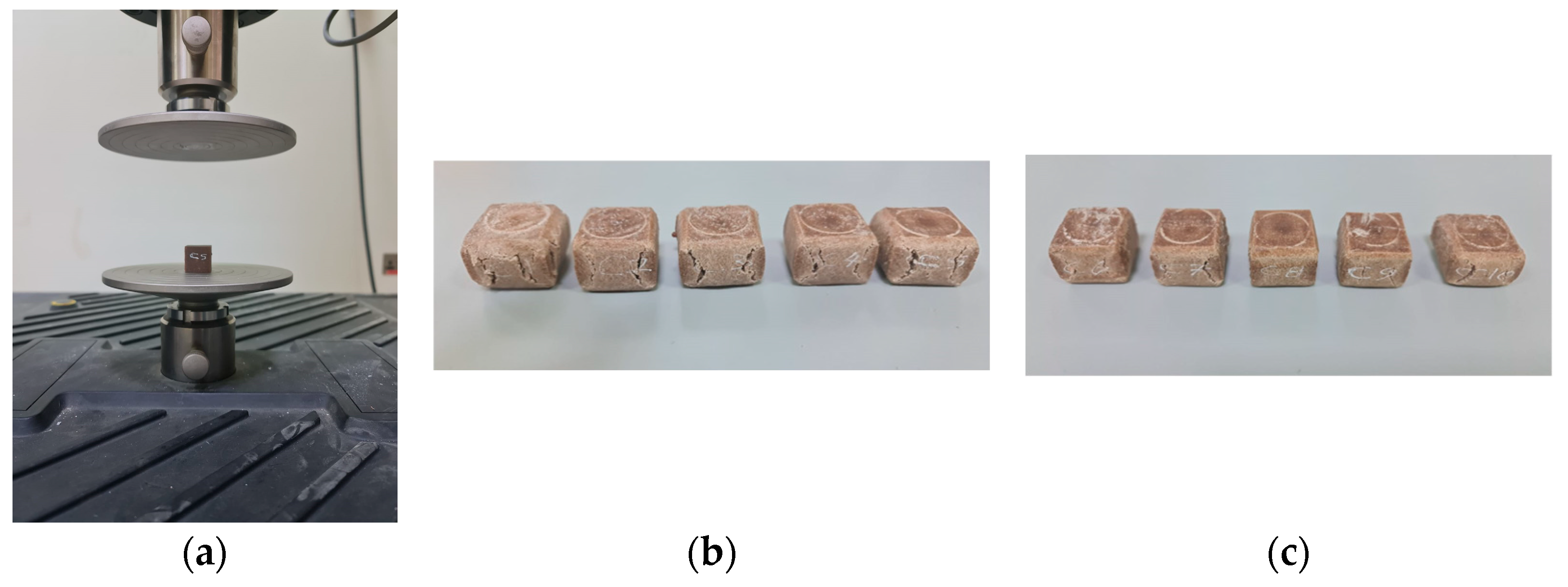 Polymers 17 01125 g015