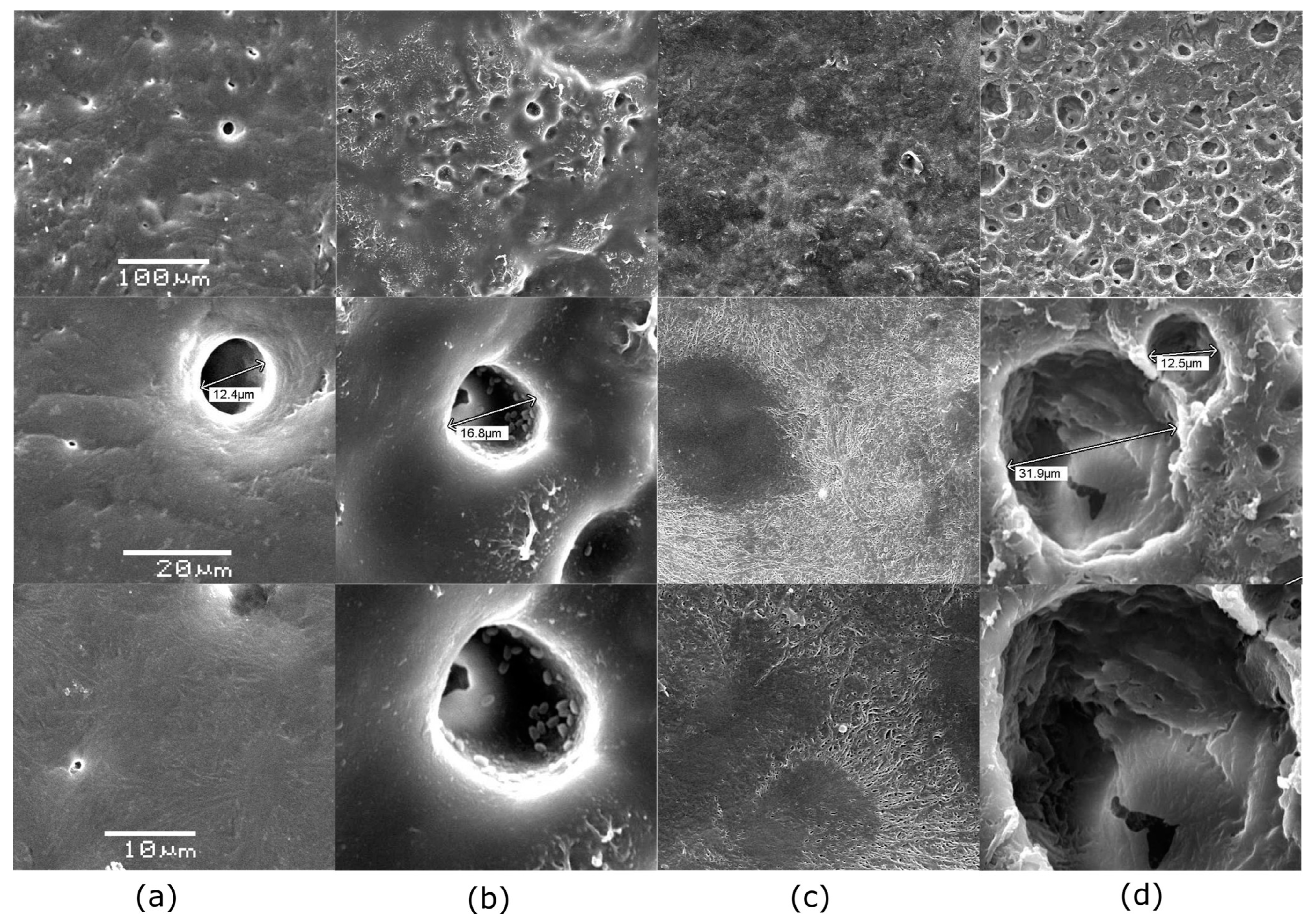 Polymers 17 01128 g005