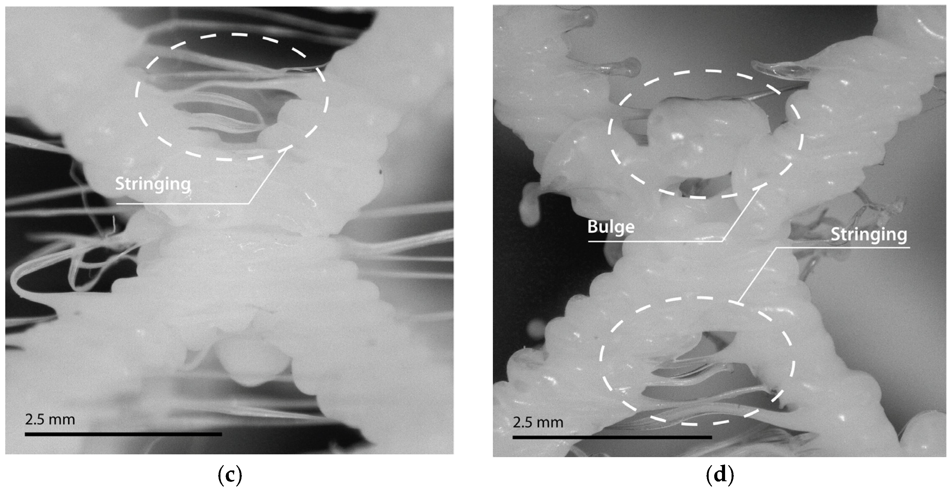 Polymers 17 01133 g003b