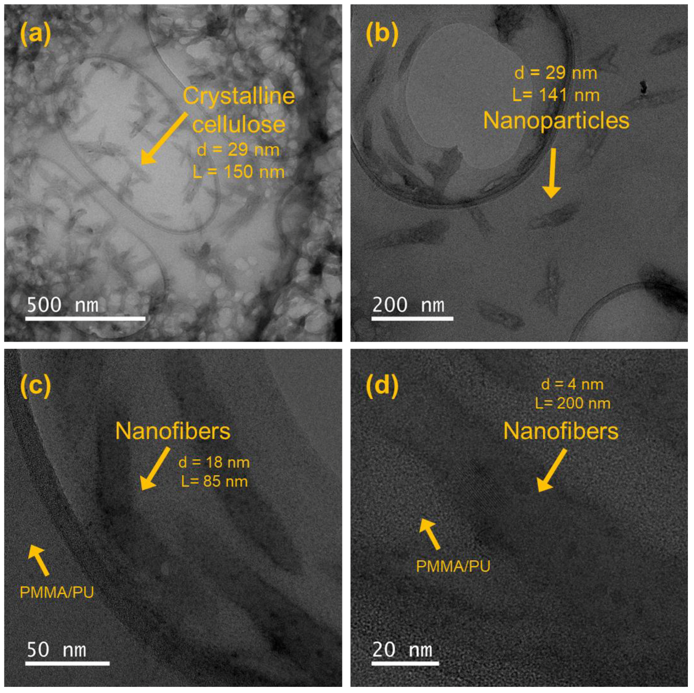 Polymers 17 01141 g005