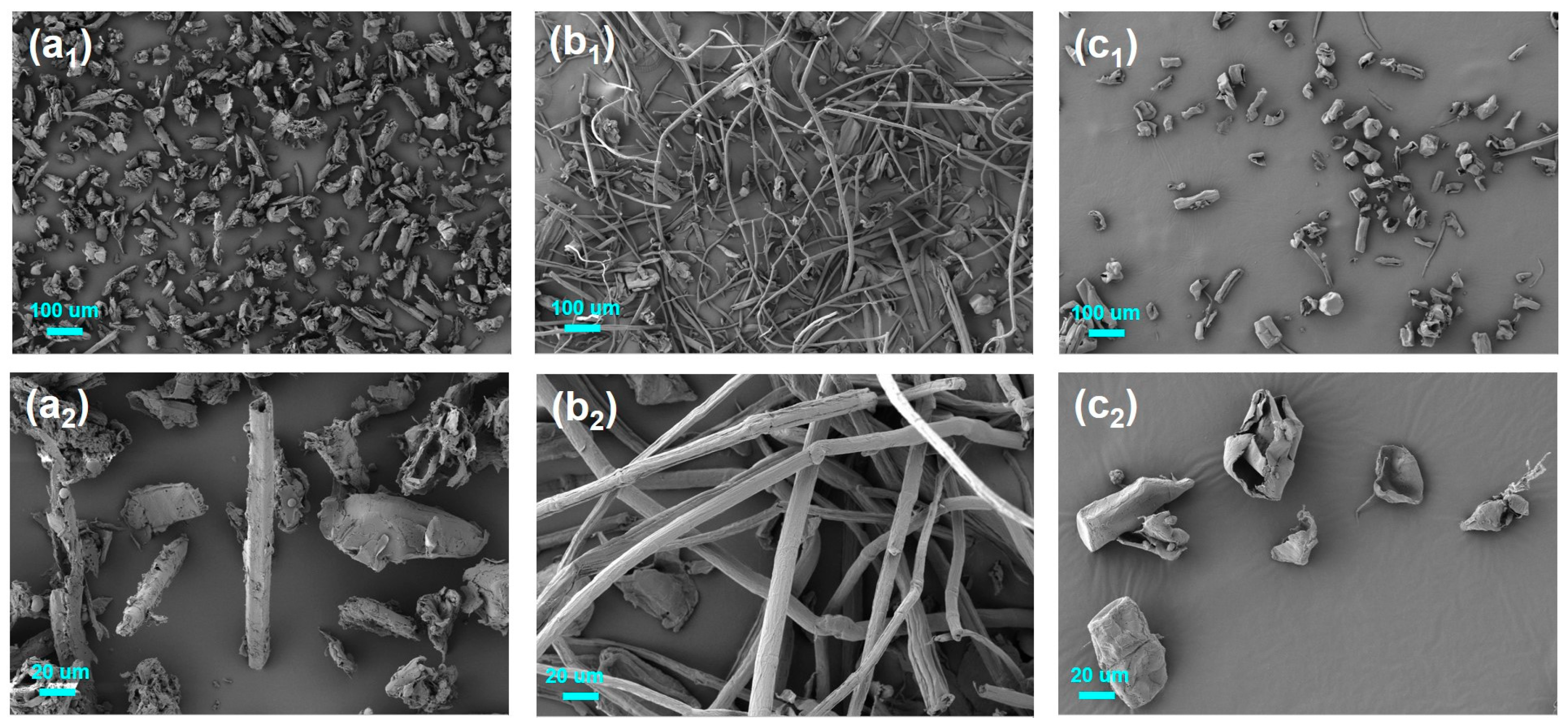Polymers 17 01143 g005