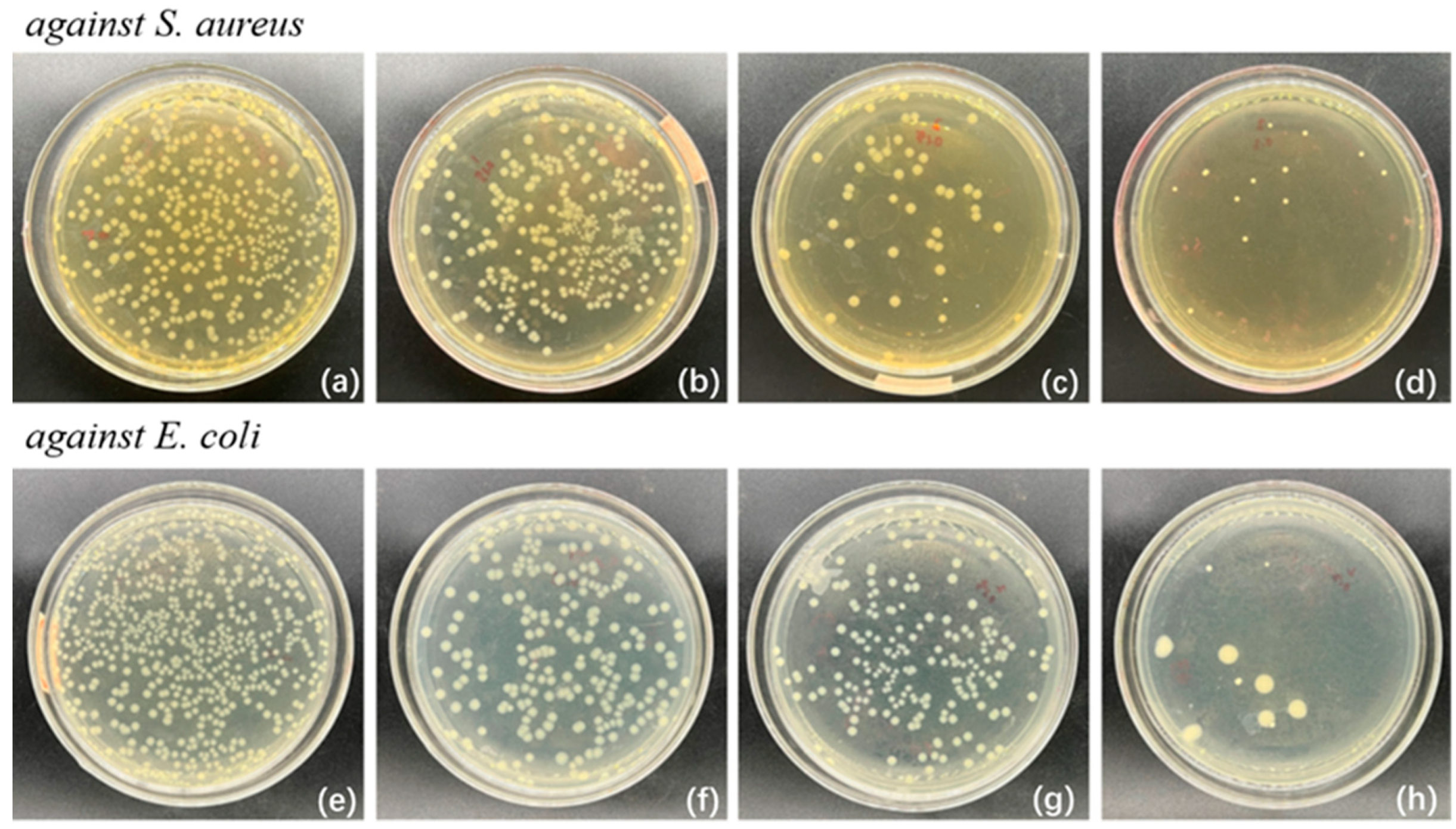 Polymers 17 01144 g005