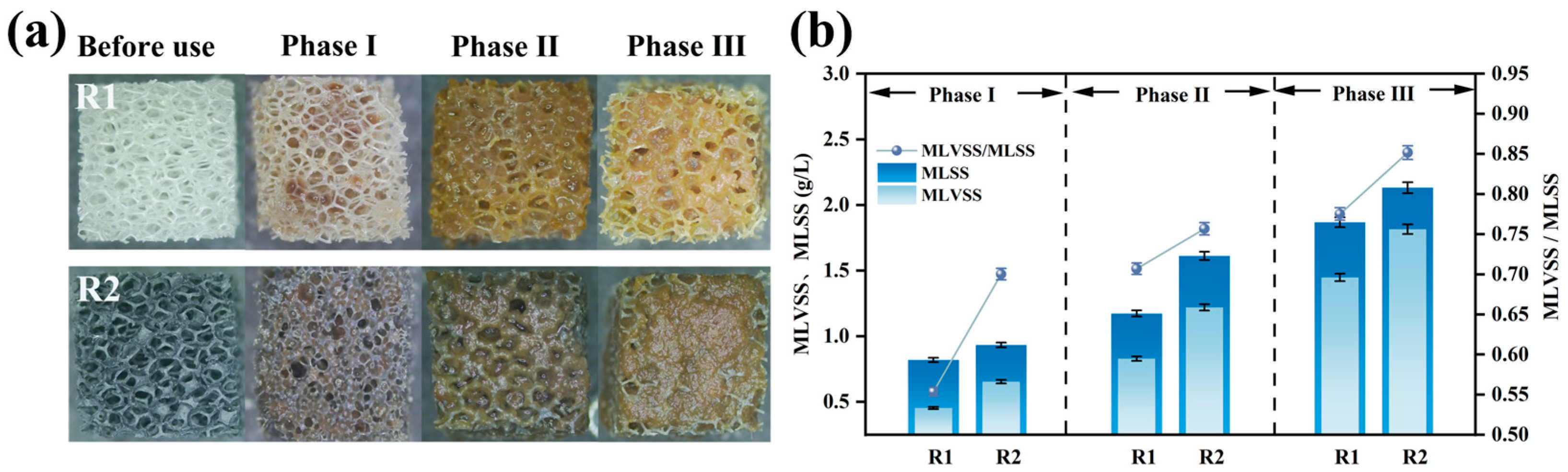 Polymers 17 01145 g006
