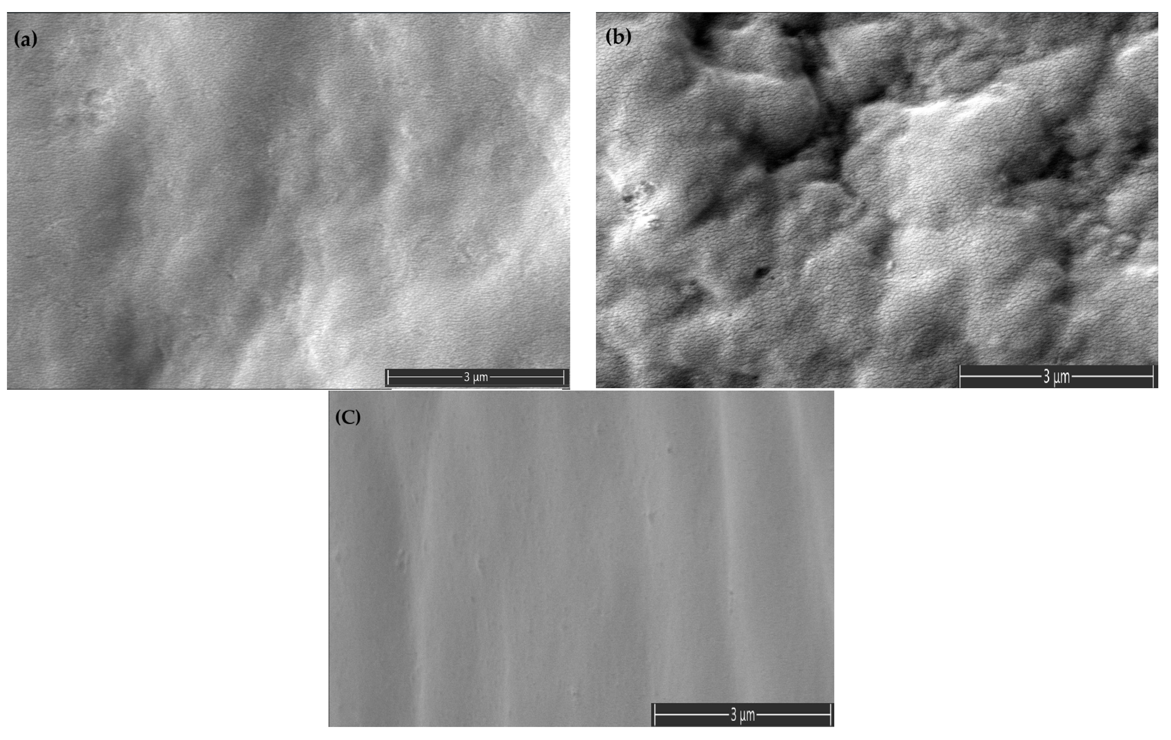 Polymers 17 01149 g010