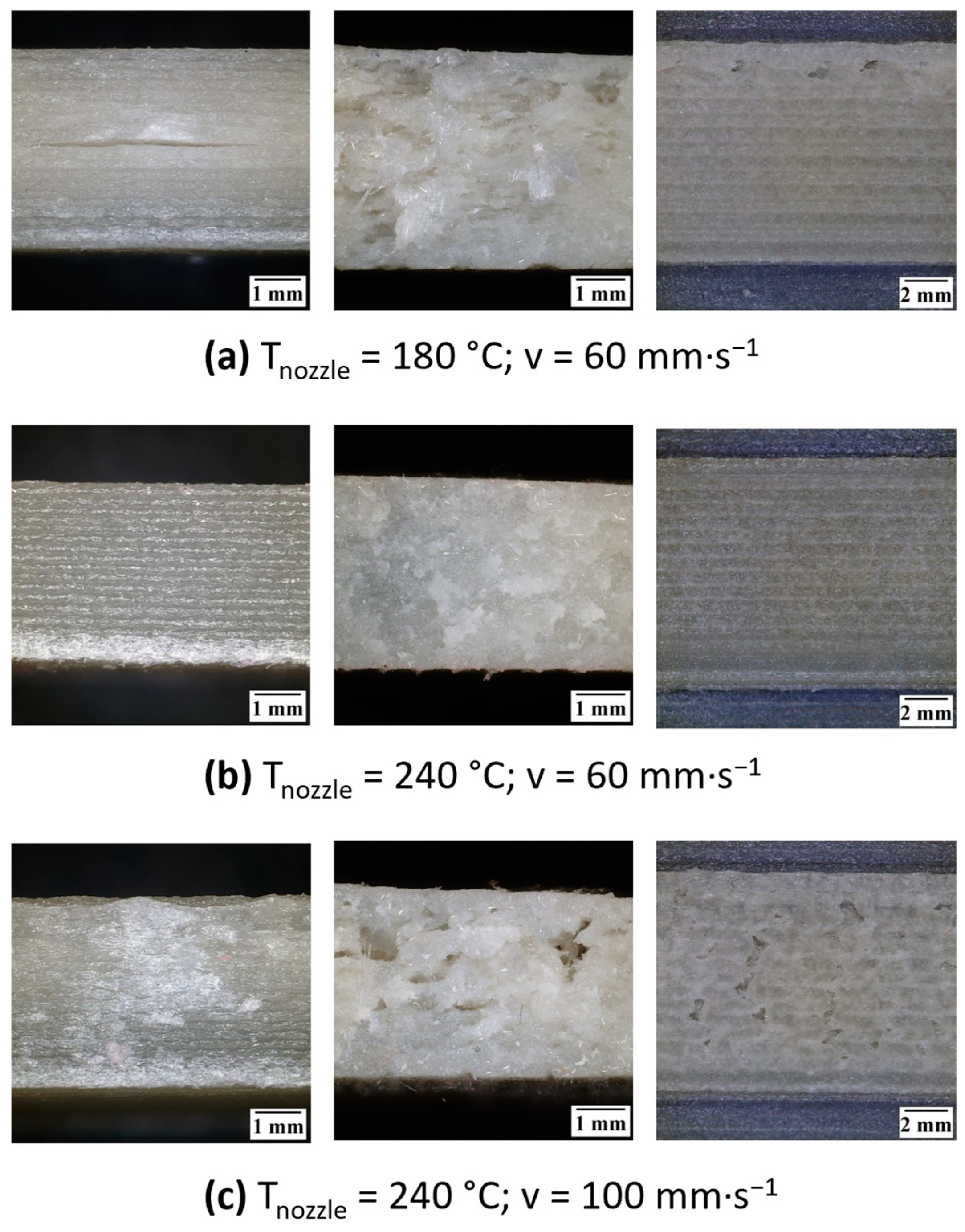 Polymers 17 01154 g008
