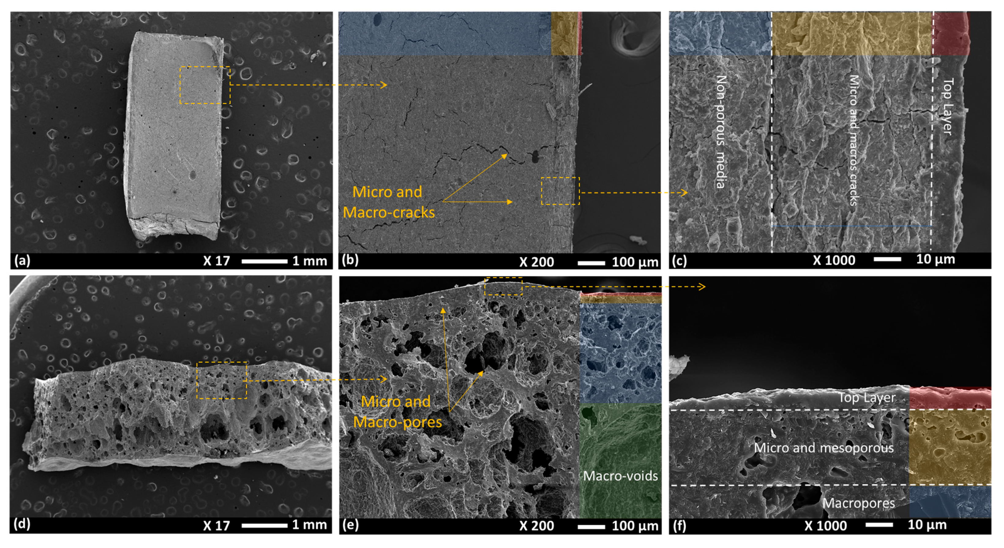 Polymers 17 01155 g004