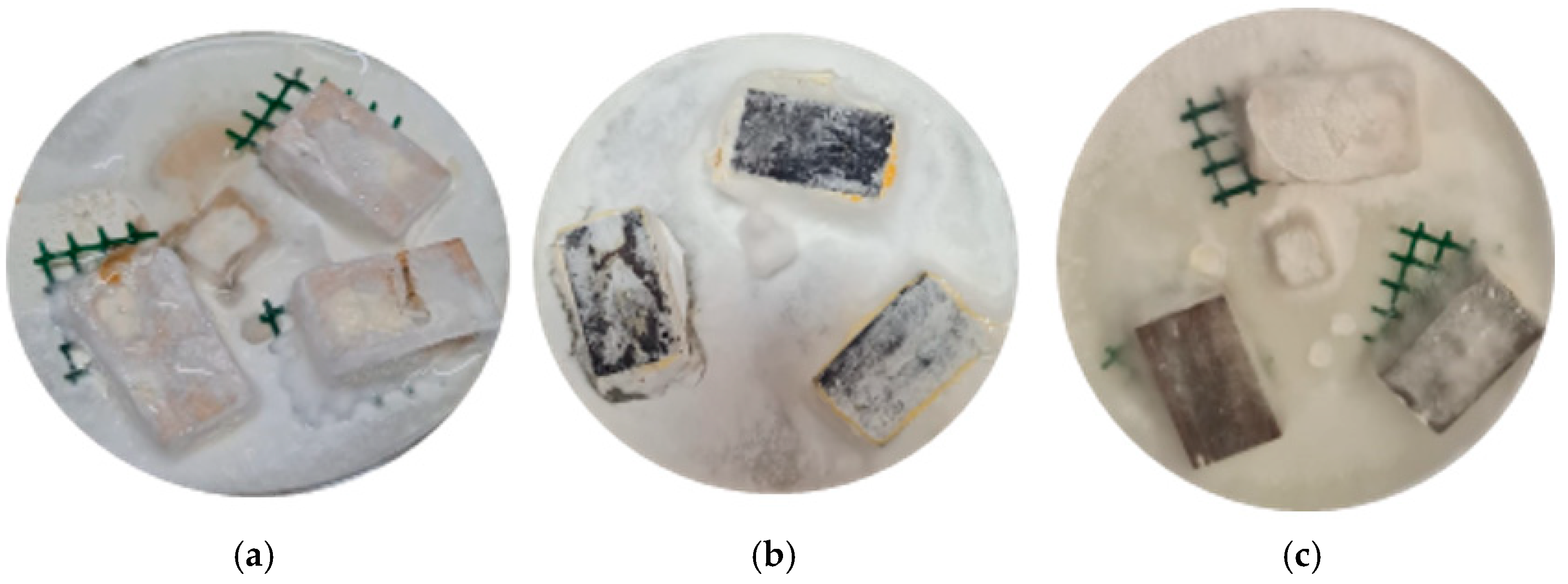 Polymers 17 01159 g006
