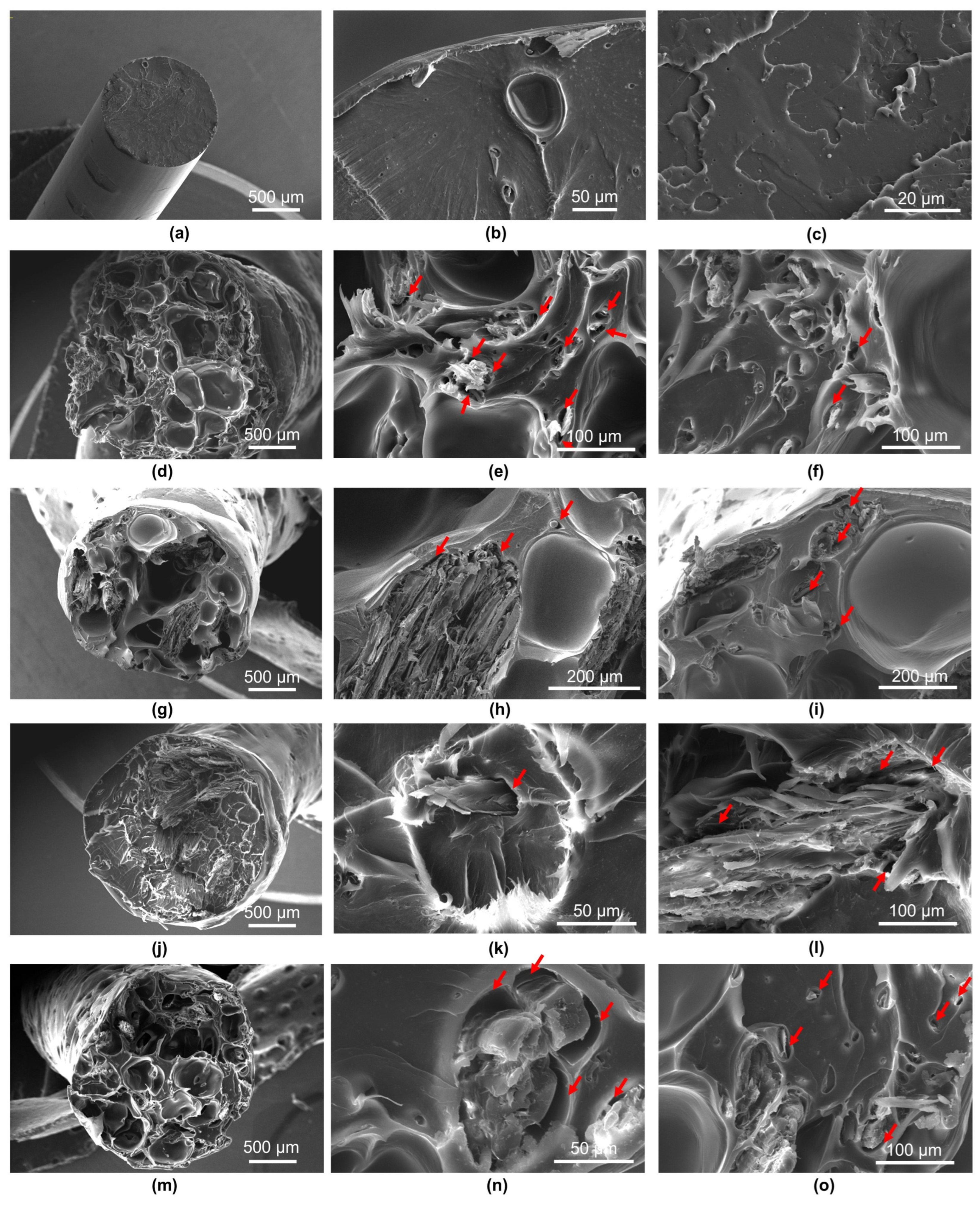 Polymers 17 01165 g009