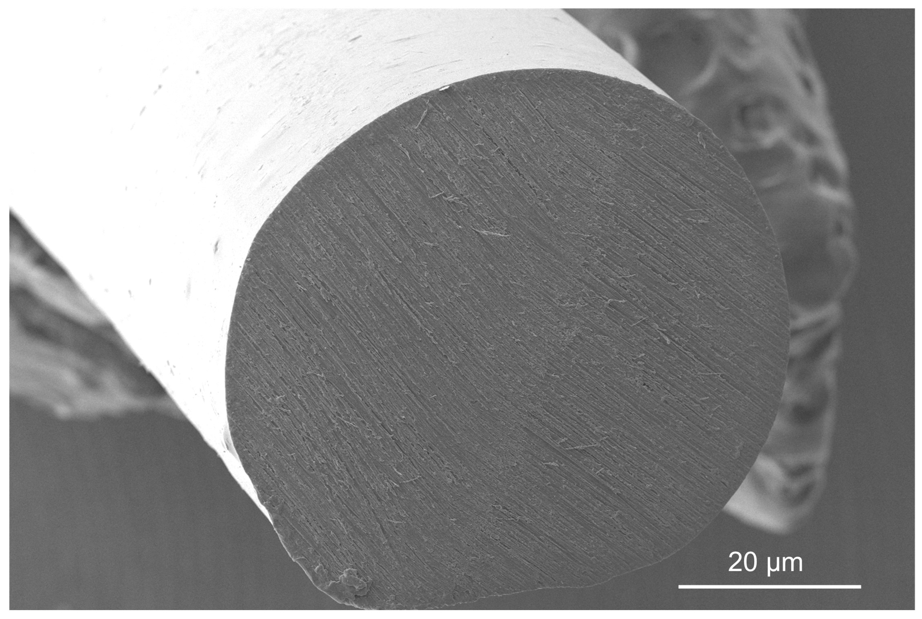 Polymers 17 01165 g010