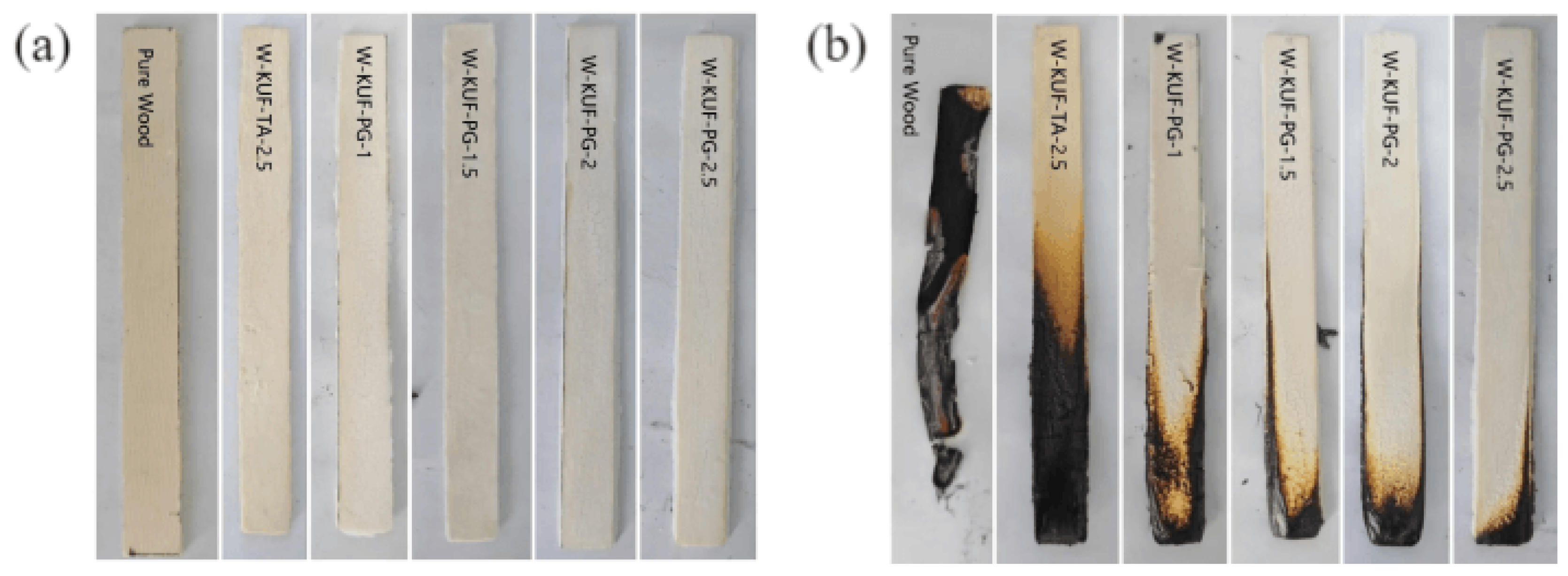 Polymers 17 01169 g005