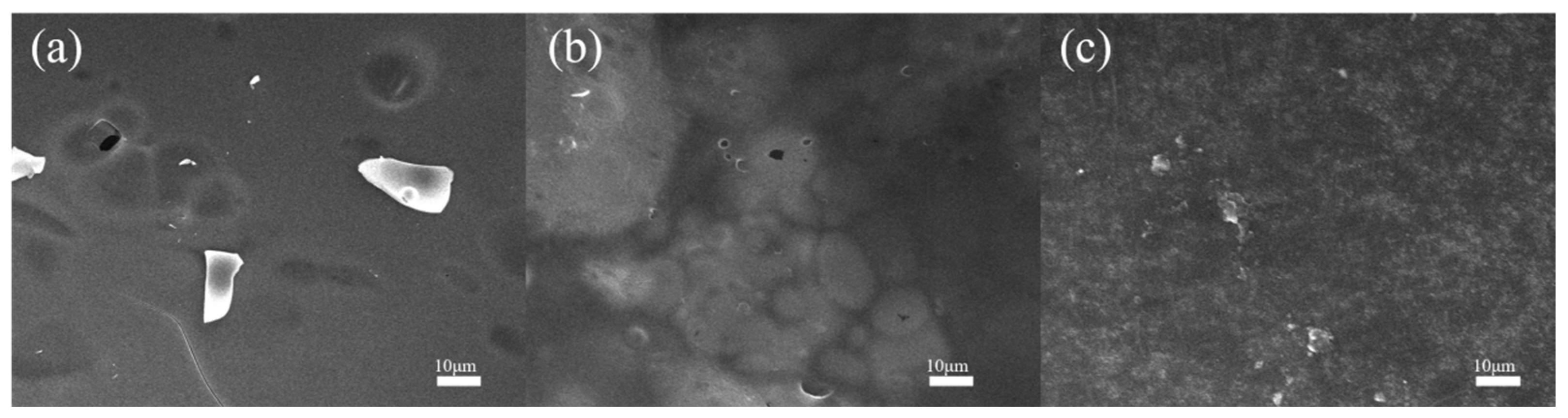 Polymers 17 01169 g007