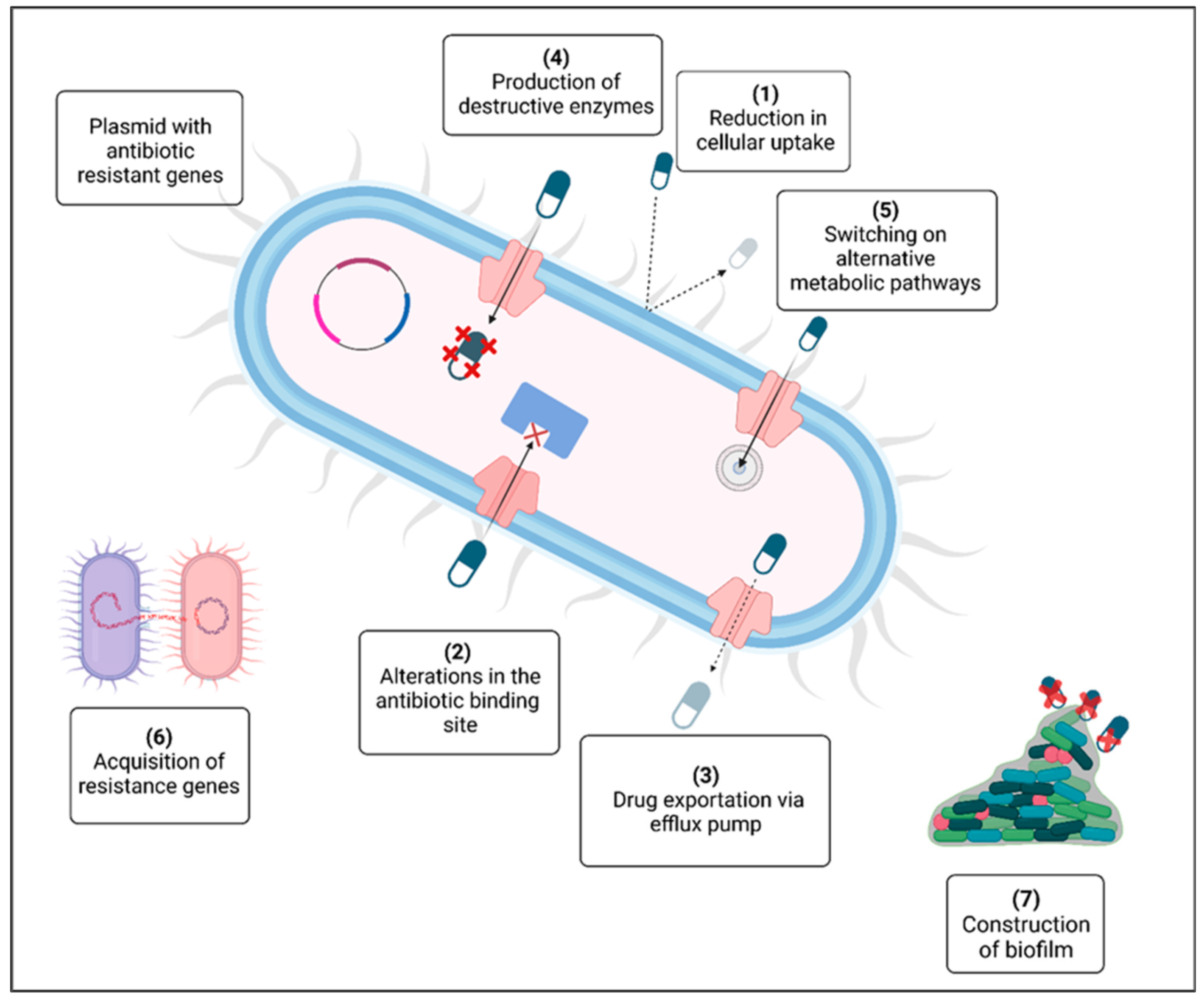 Polymers 17 01174 g001