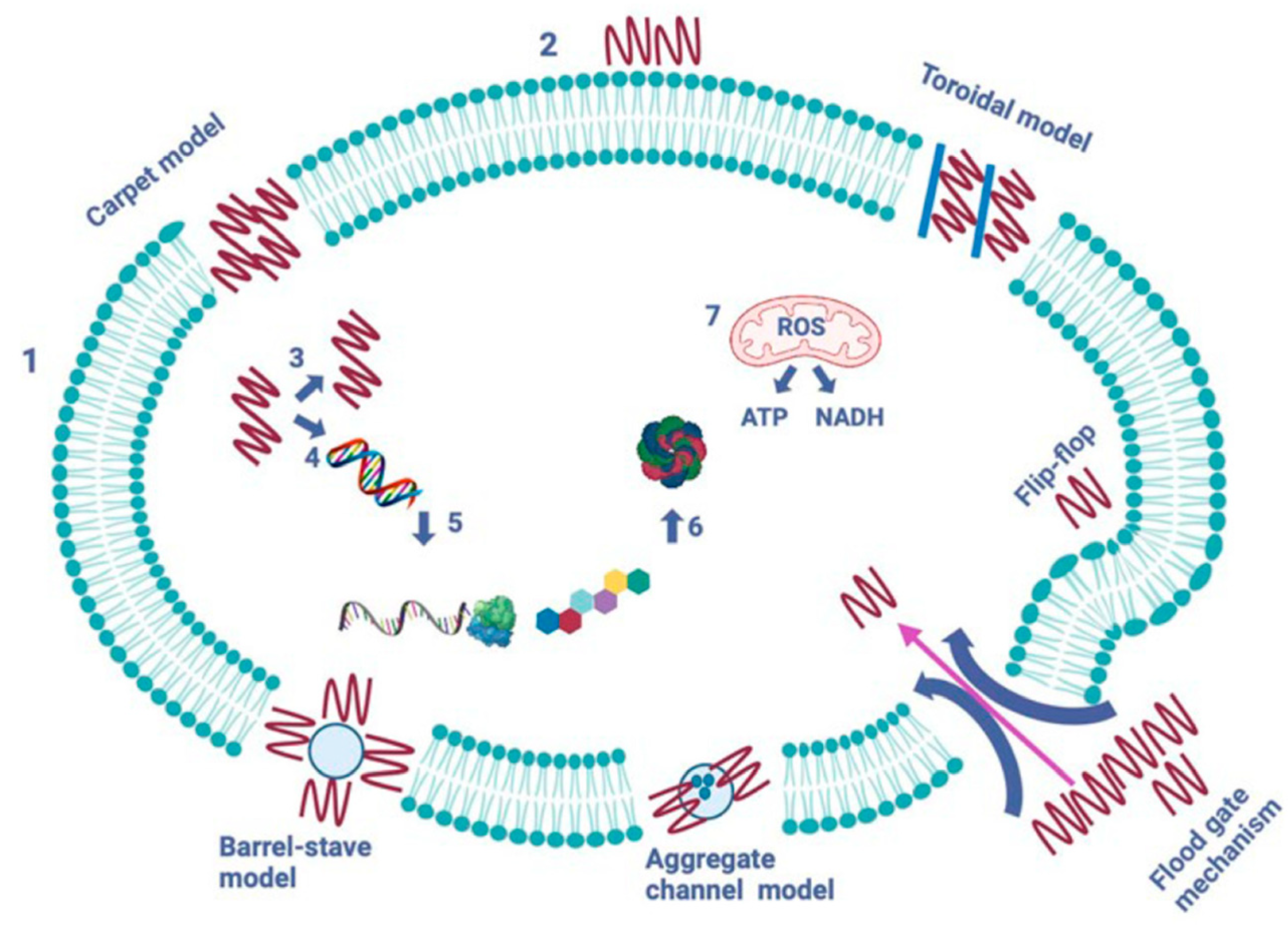 Polymers 17 01174 g006