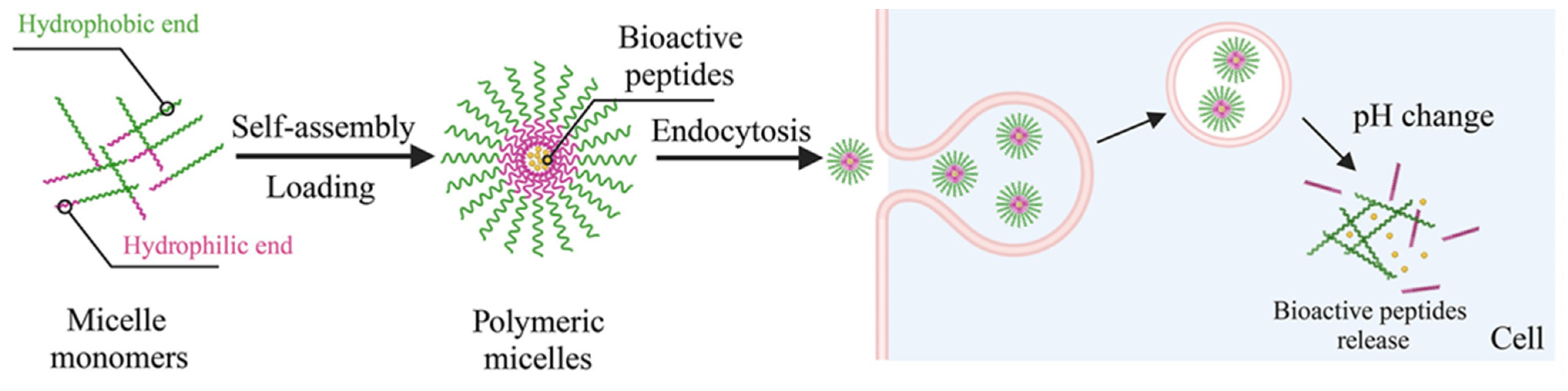 Polymers 17 01174 g009