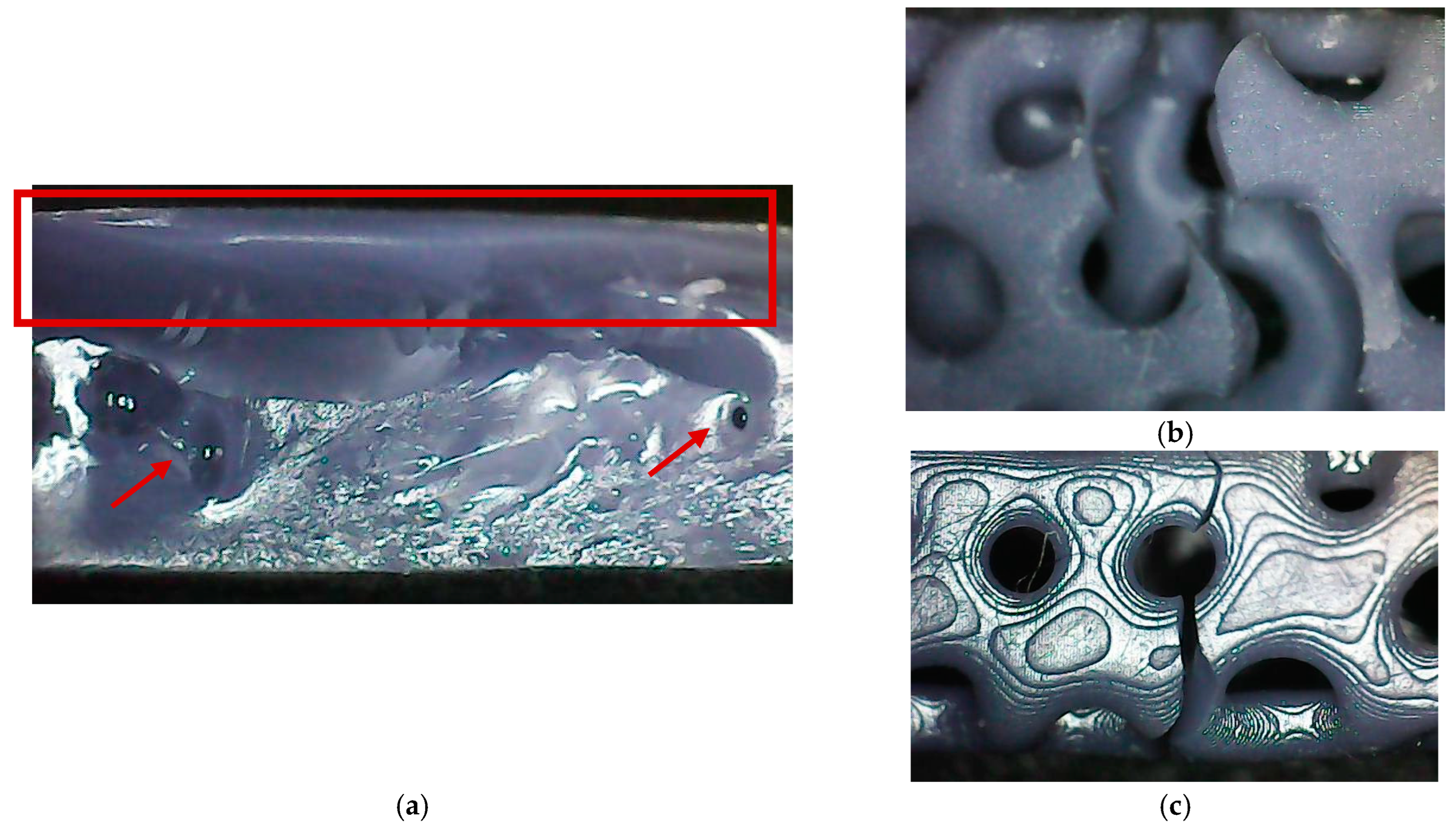 Polymers 17 01180 g011