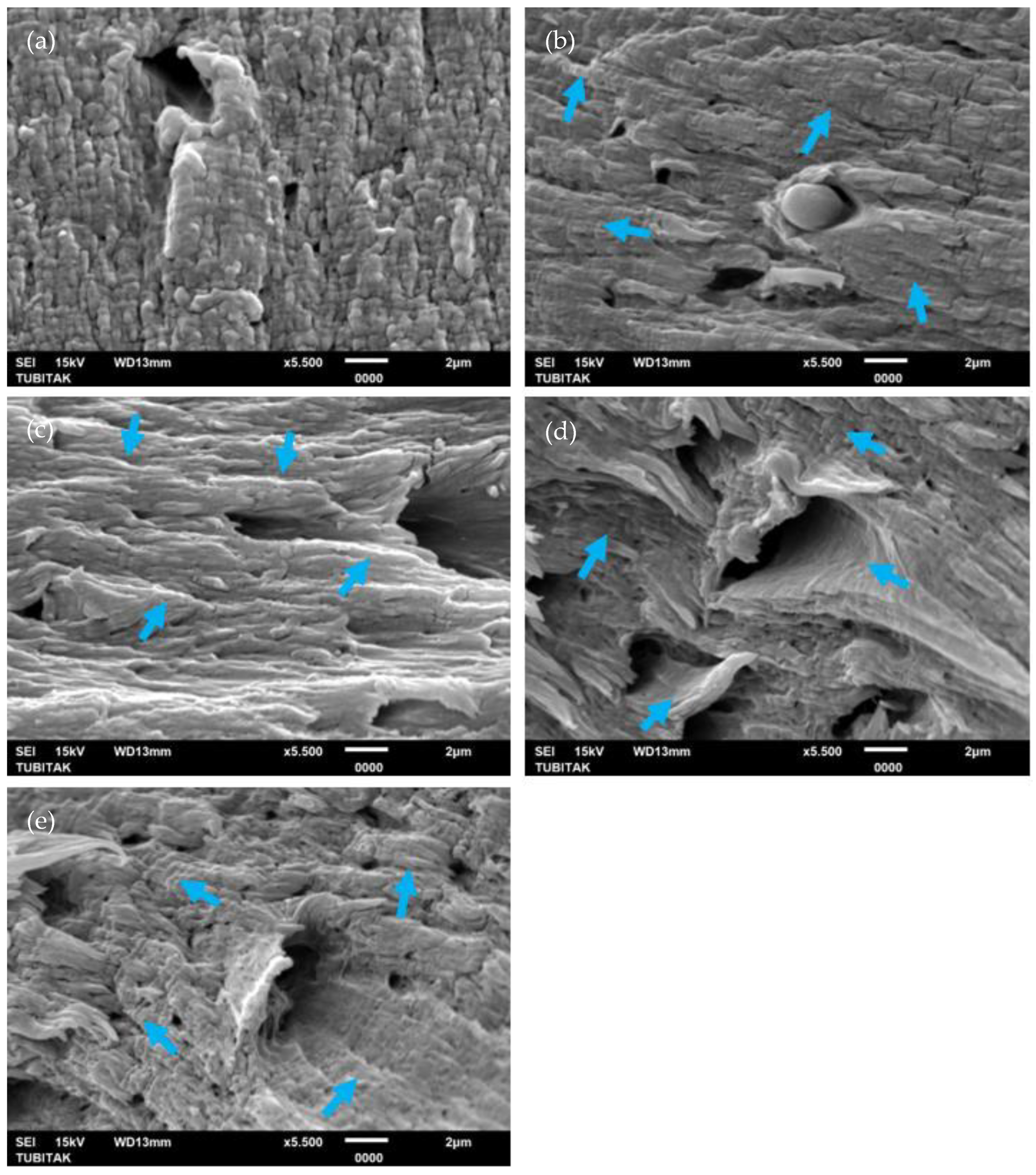 Polymers 17 01186 g006