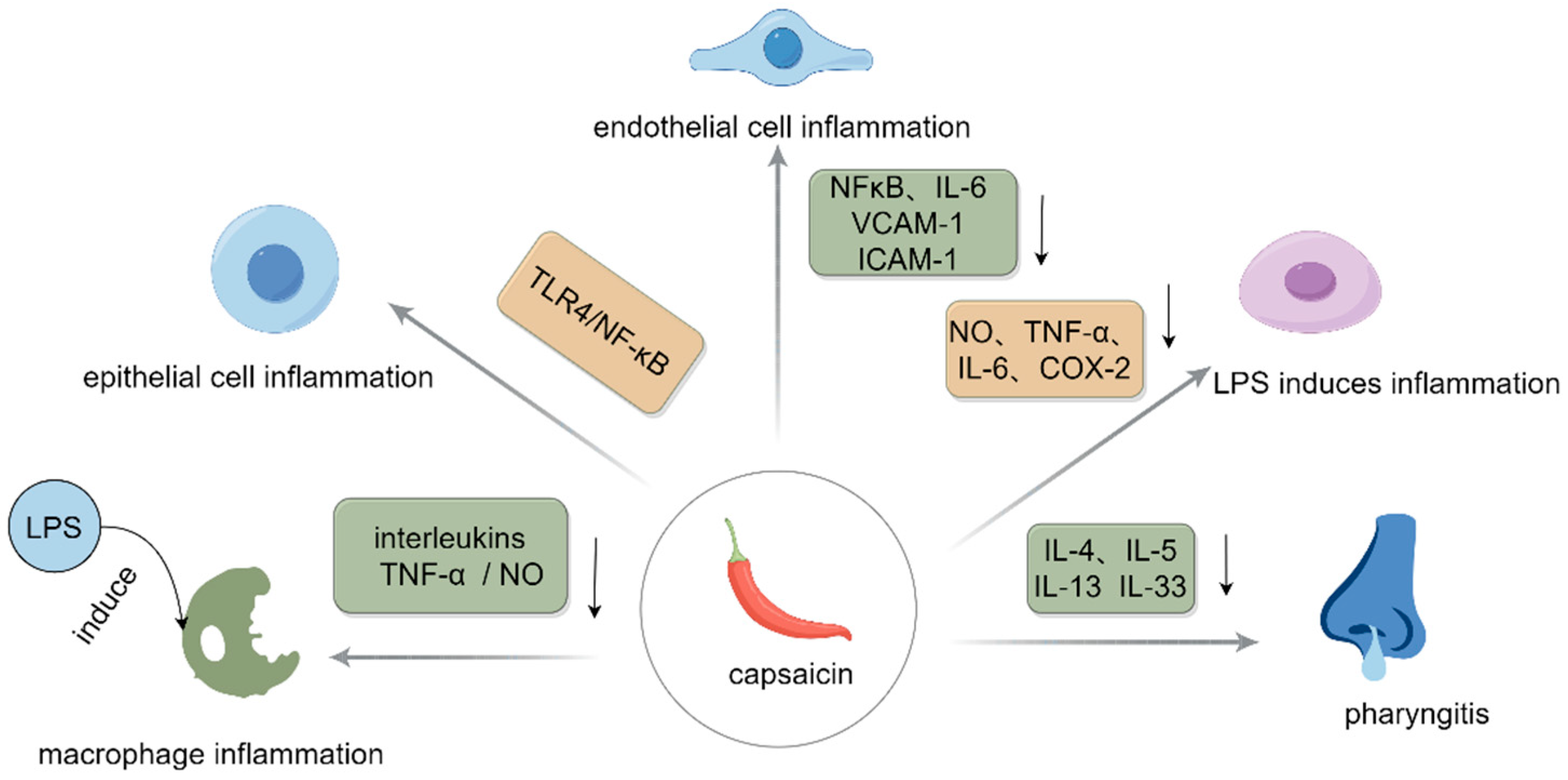 Polymers 17 01196 g002
