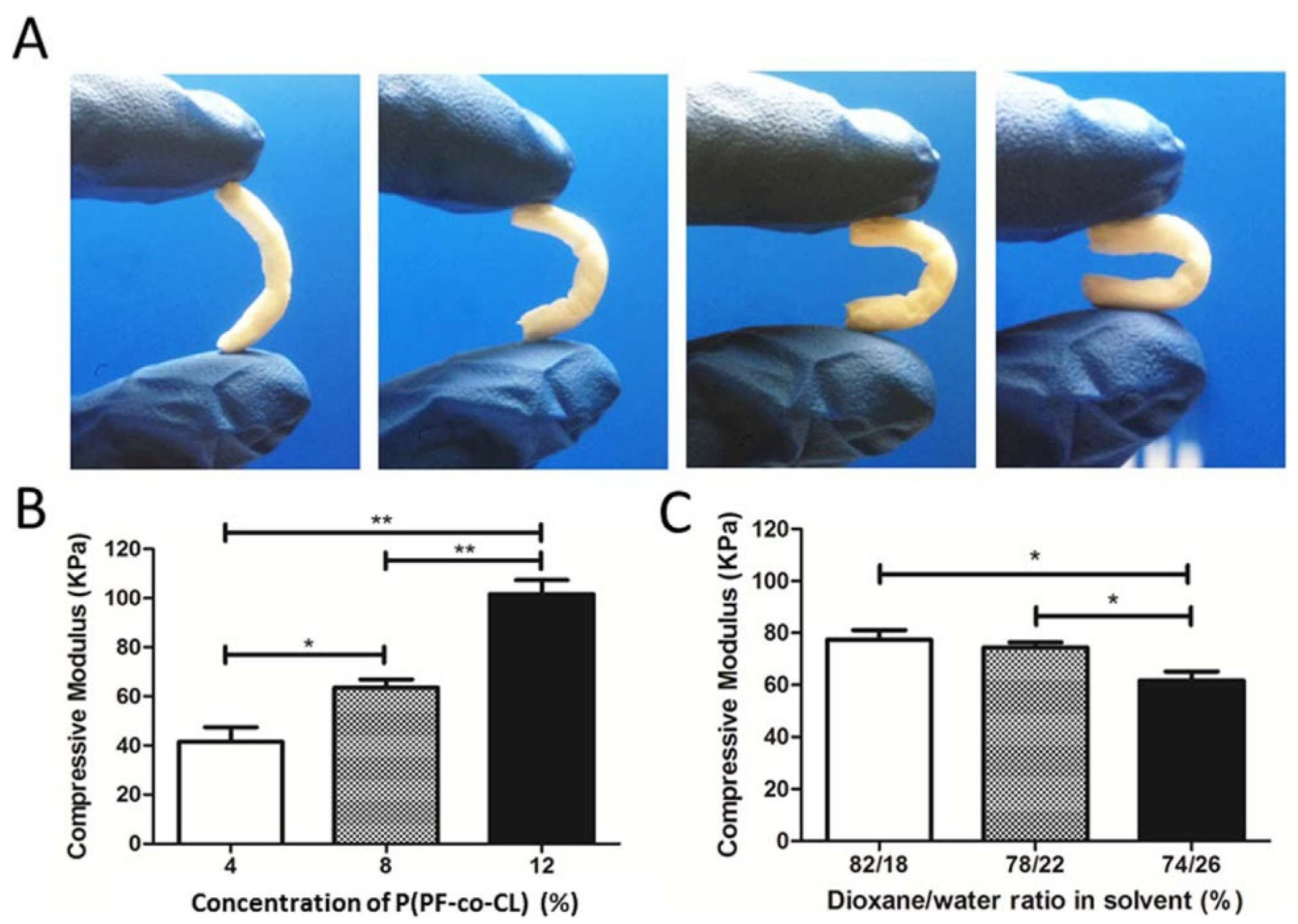 Polymers 17 01212 g005