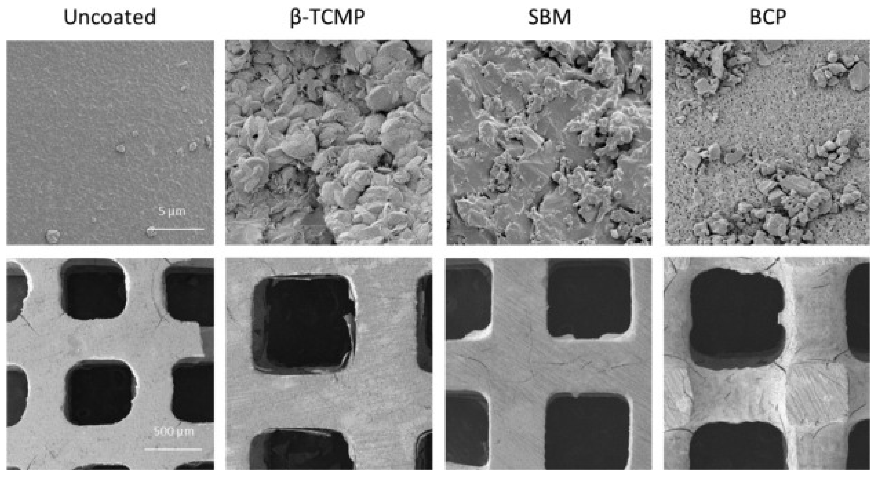 Polymers 17 01212 g006