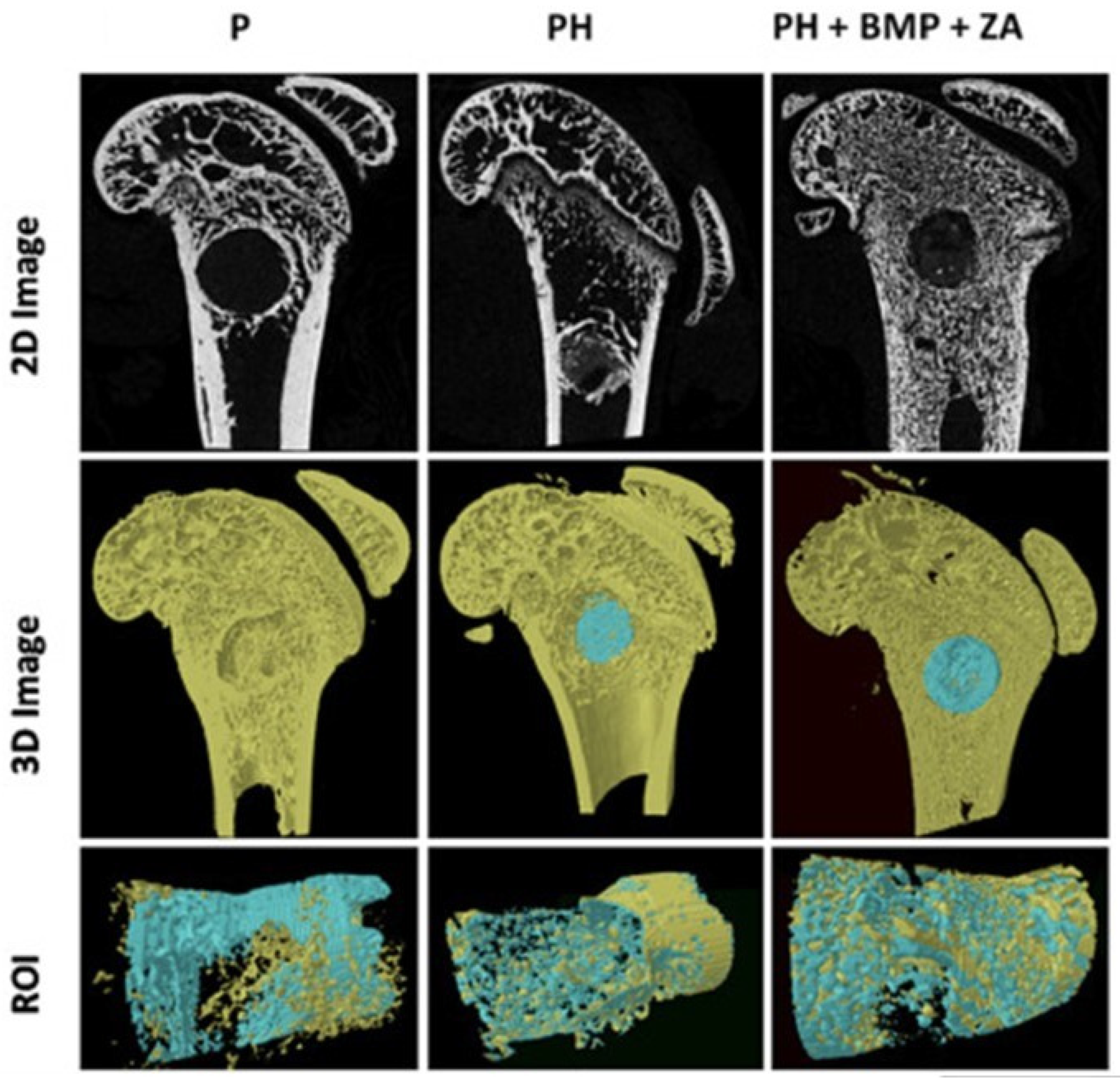 Polymers 17 01212 g007
