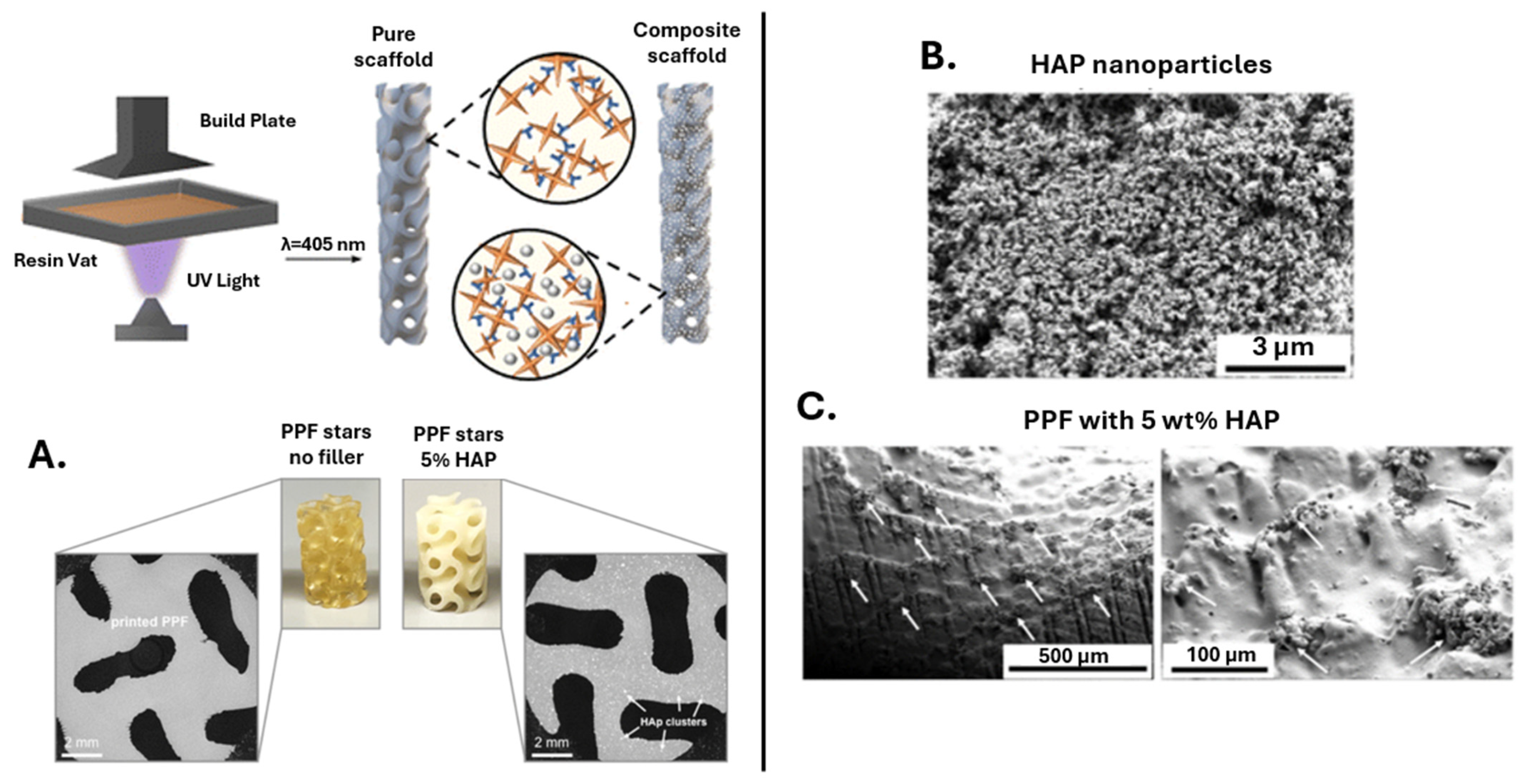 Polymers 17 01212 g008