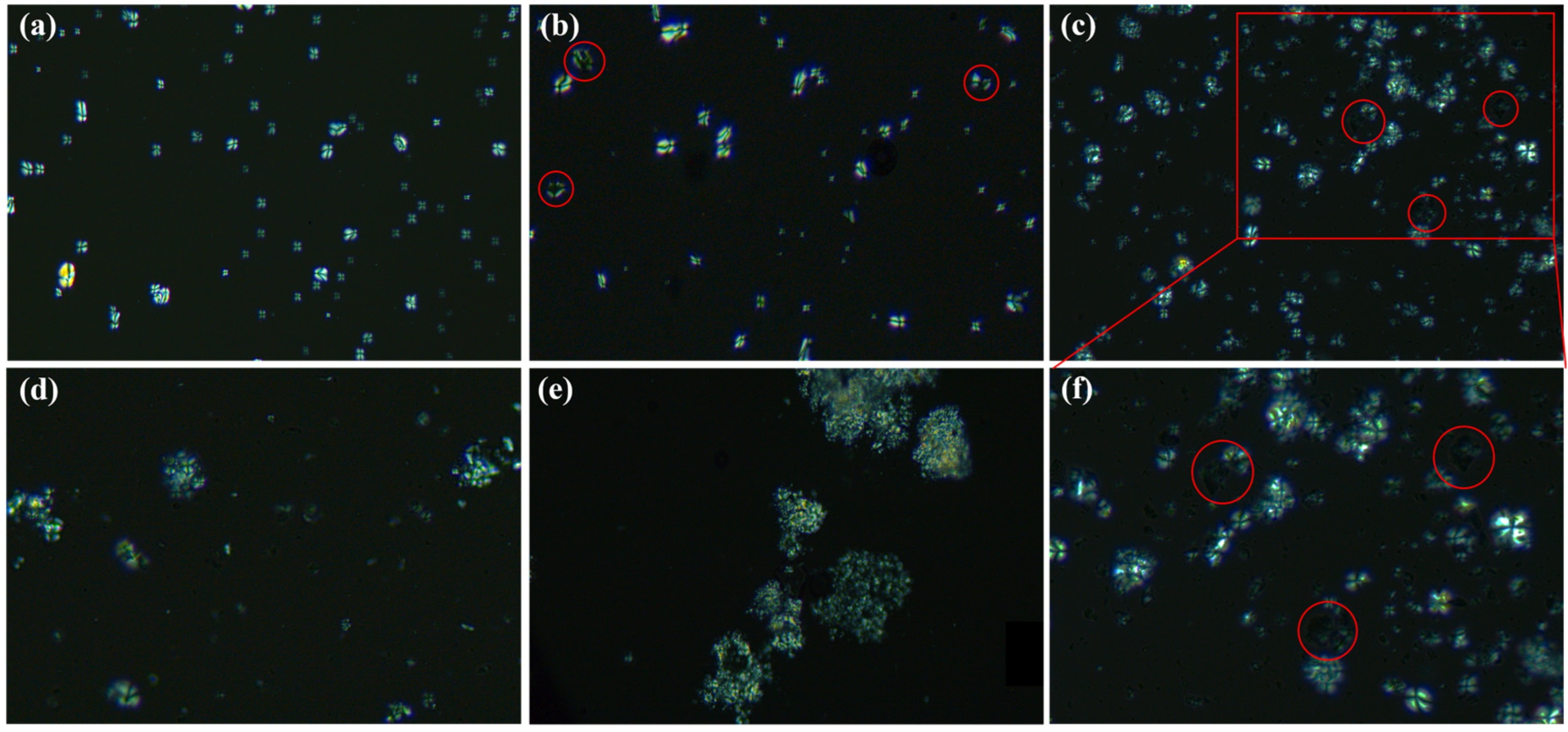 Polymers 17 01296 g004