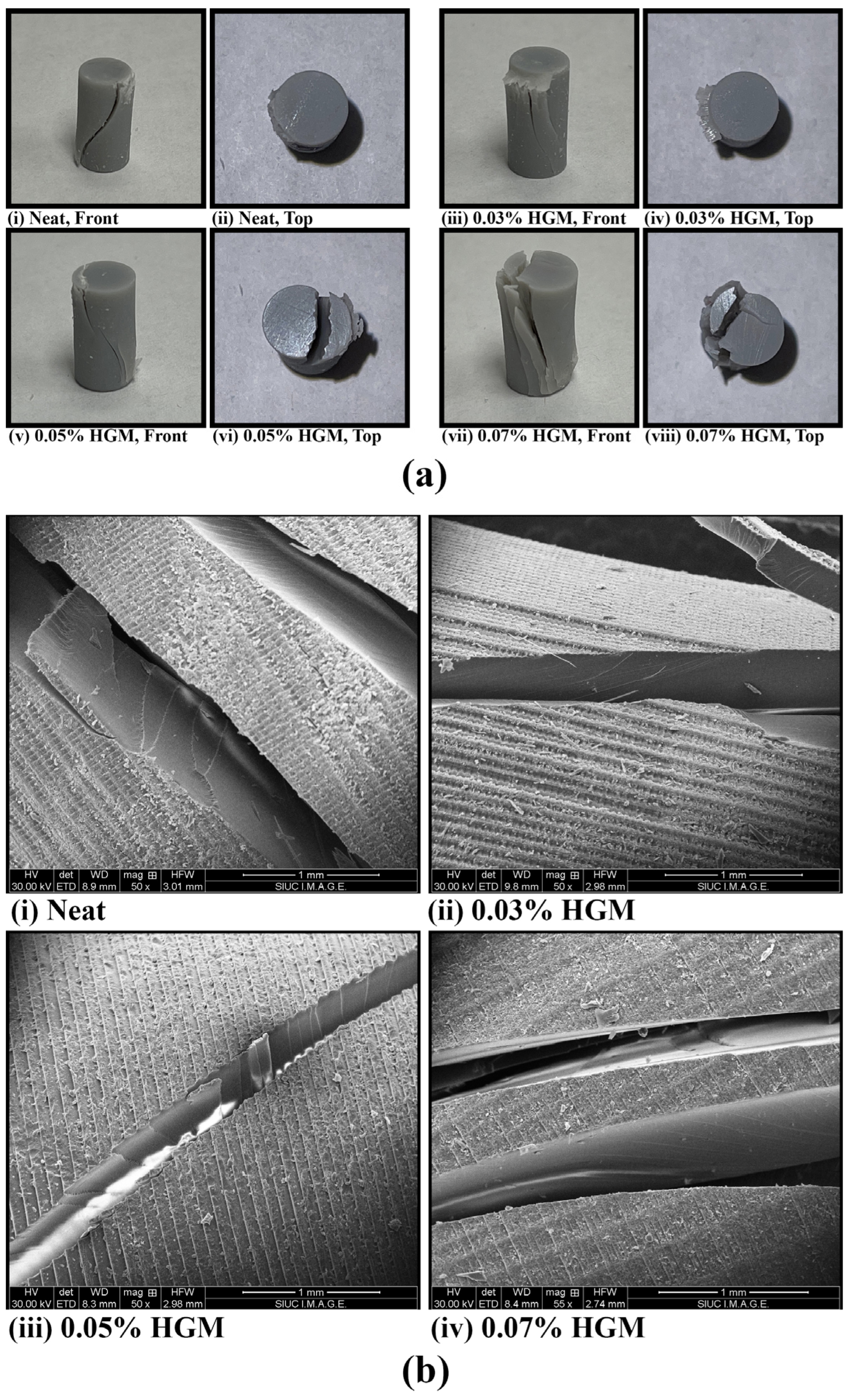 Polymers 17 01495 g006