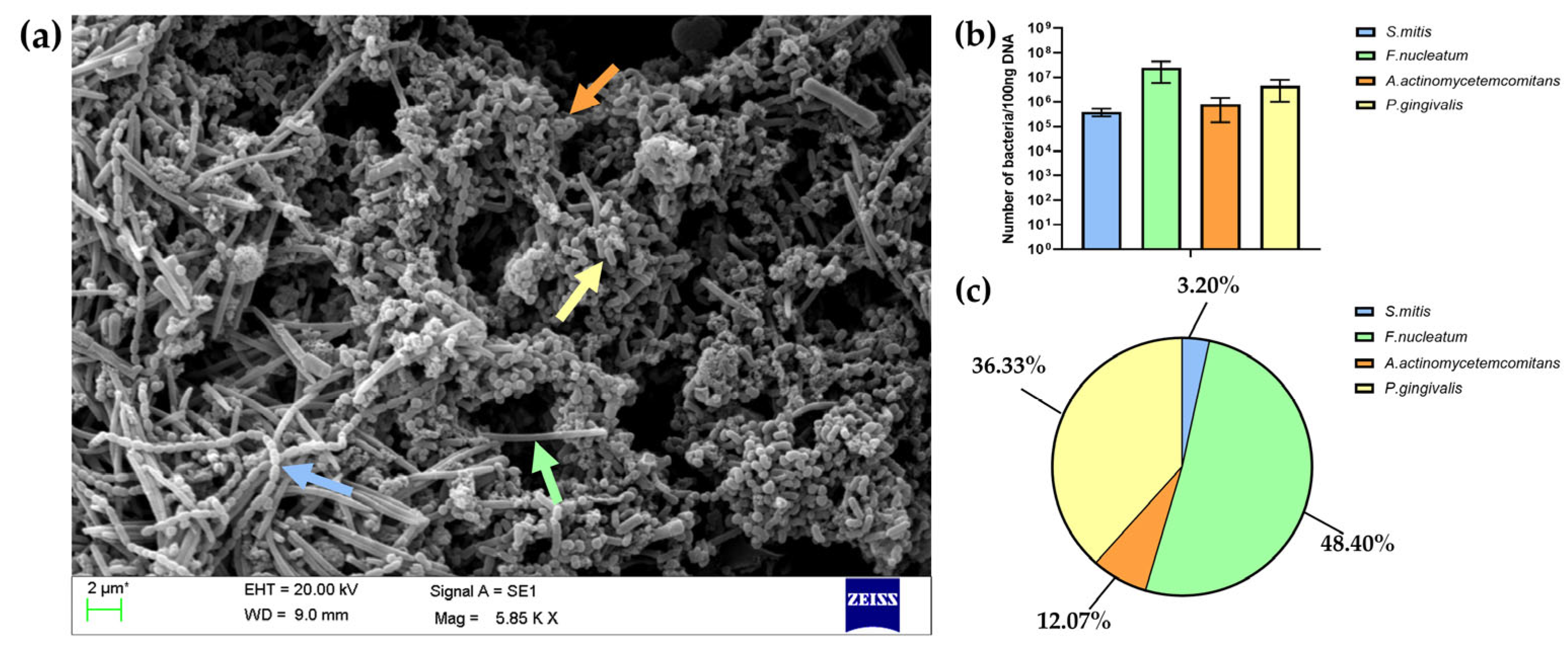 Polymers 17 01514 g003