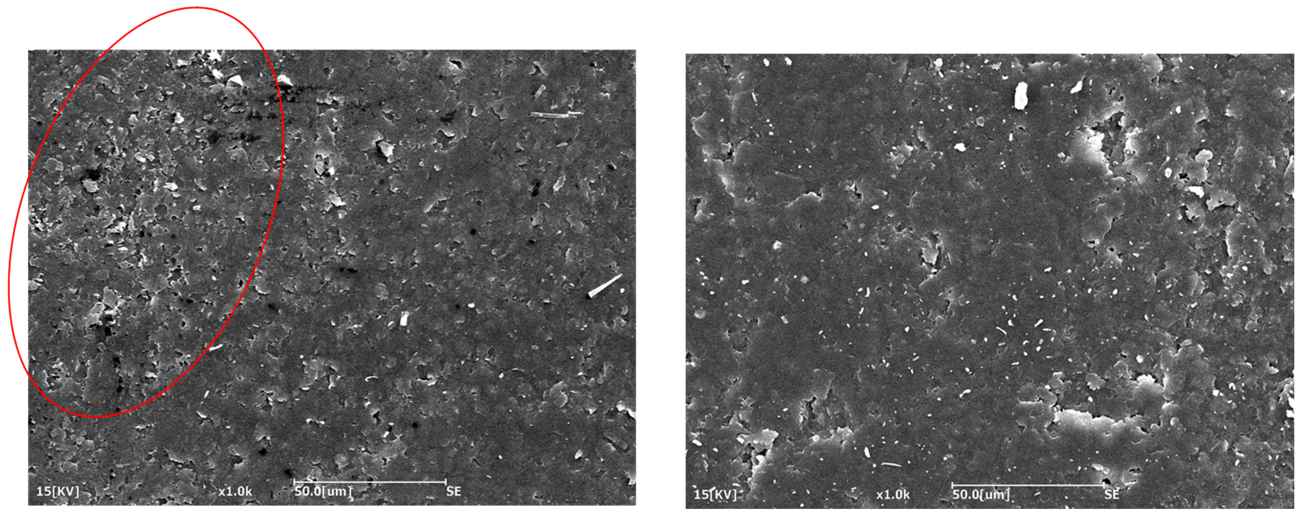 Polymers 17 01641 g004