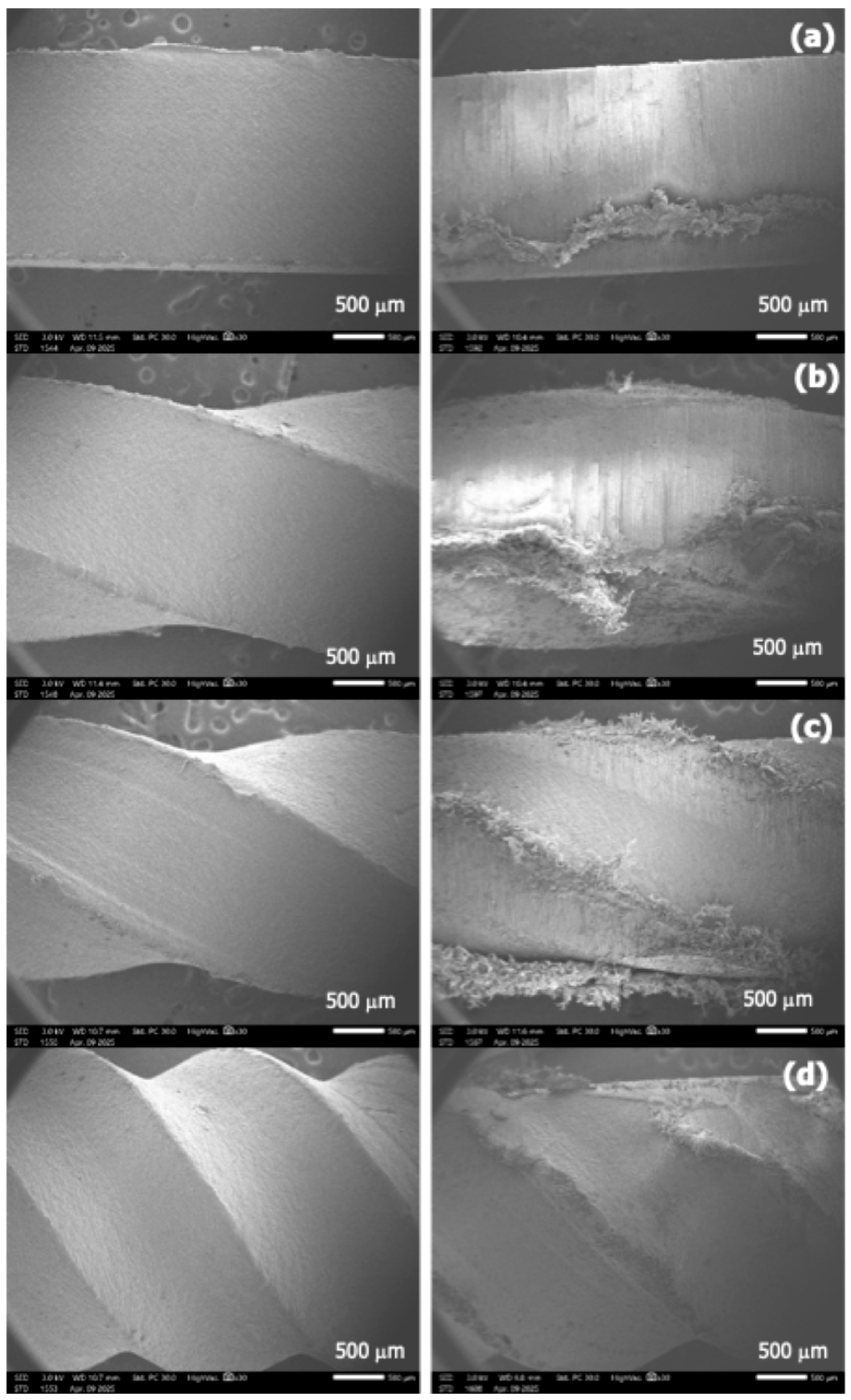 Polymers 17 01804 g010
